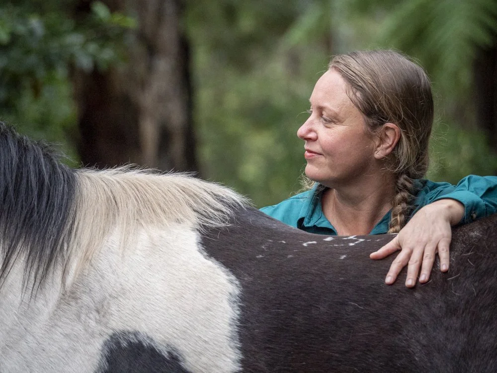 Recharge & Reconnect, with the help of Horses and Nature