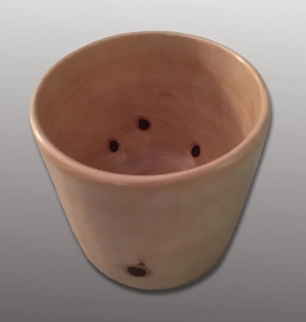 Norfolk Island Pine Vase