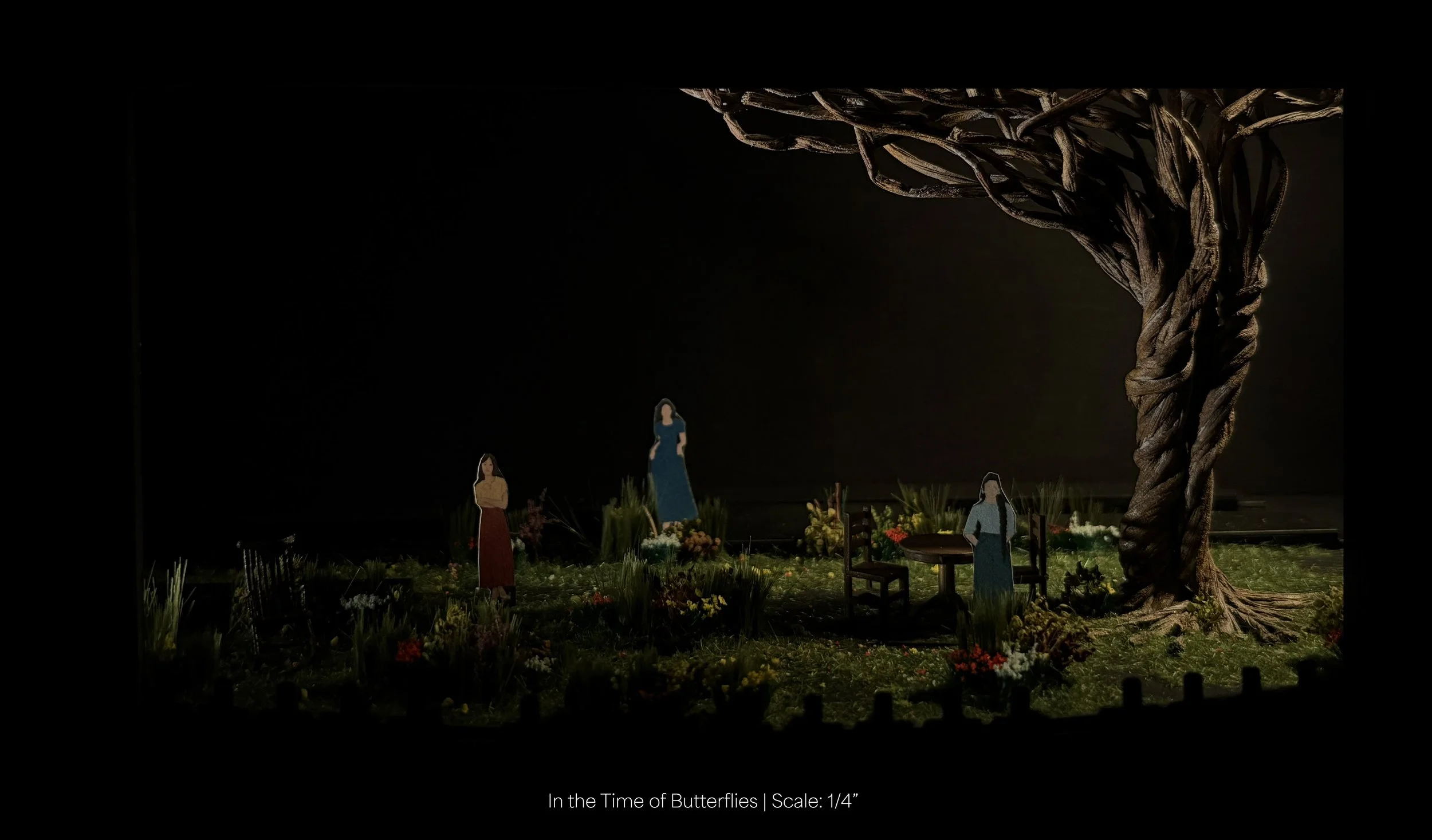 In the Time of Butterflies4.jpg
