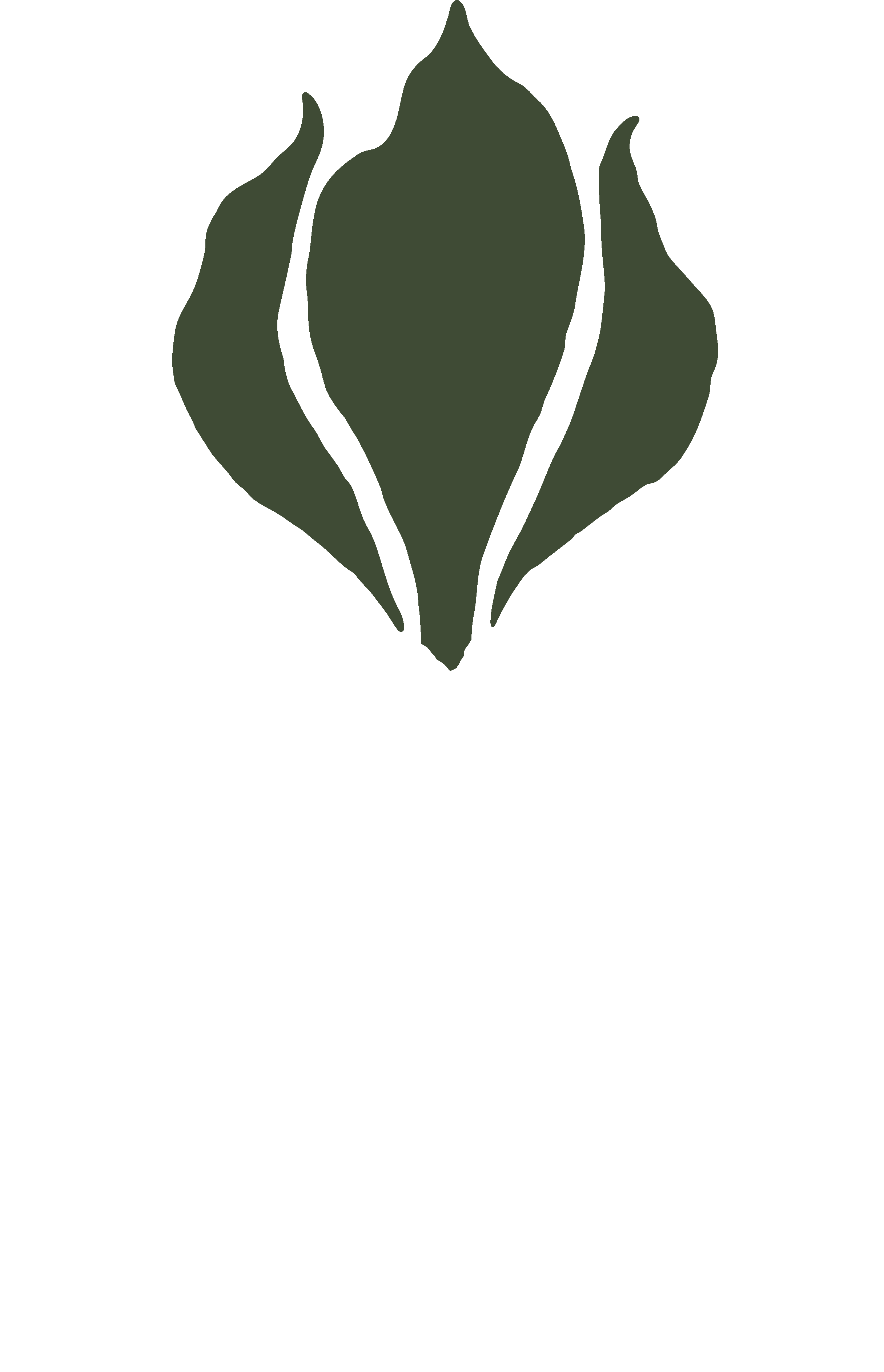 A dark green stylized depiction of a leaf or plant with three pointed leaves on a black background.