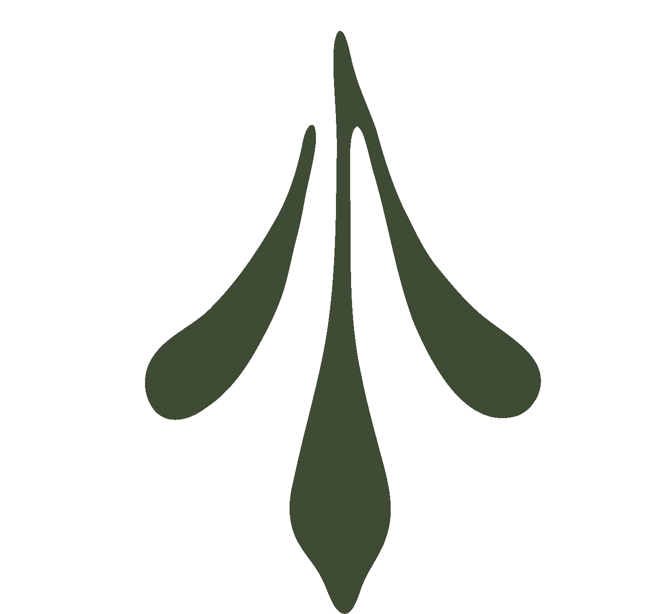 Stylized dark green abstract floral design on black background.