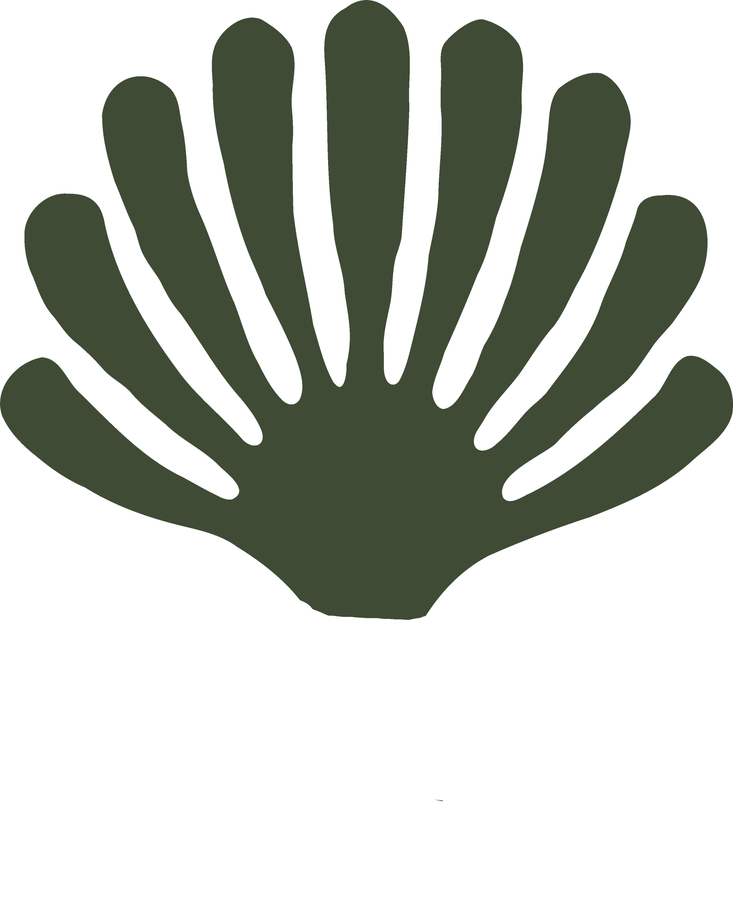 A stylized dark green palm leaf icon with a semi-circle base.