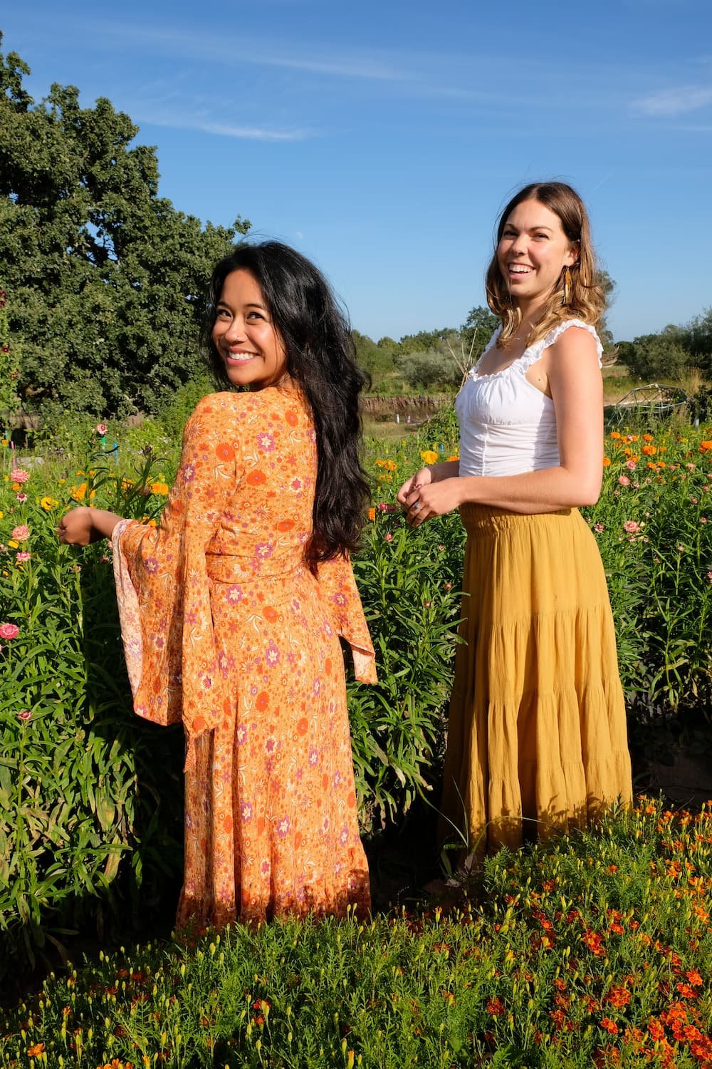 Abbey-Joy-Healing-Tulsi-Rose-Tea-hand-picked.jpg