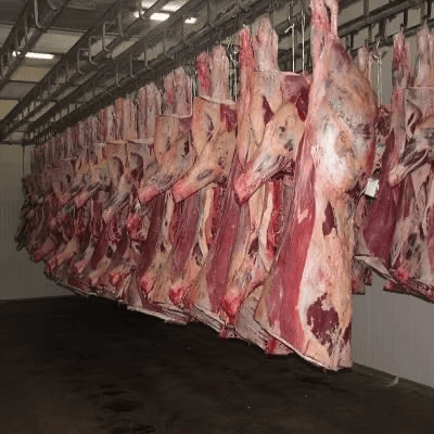 PREMIUM QUALITY HALAL FRESH CHILLED GOAT MUTTON MEAT in BULK