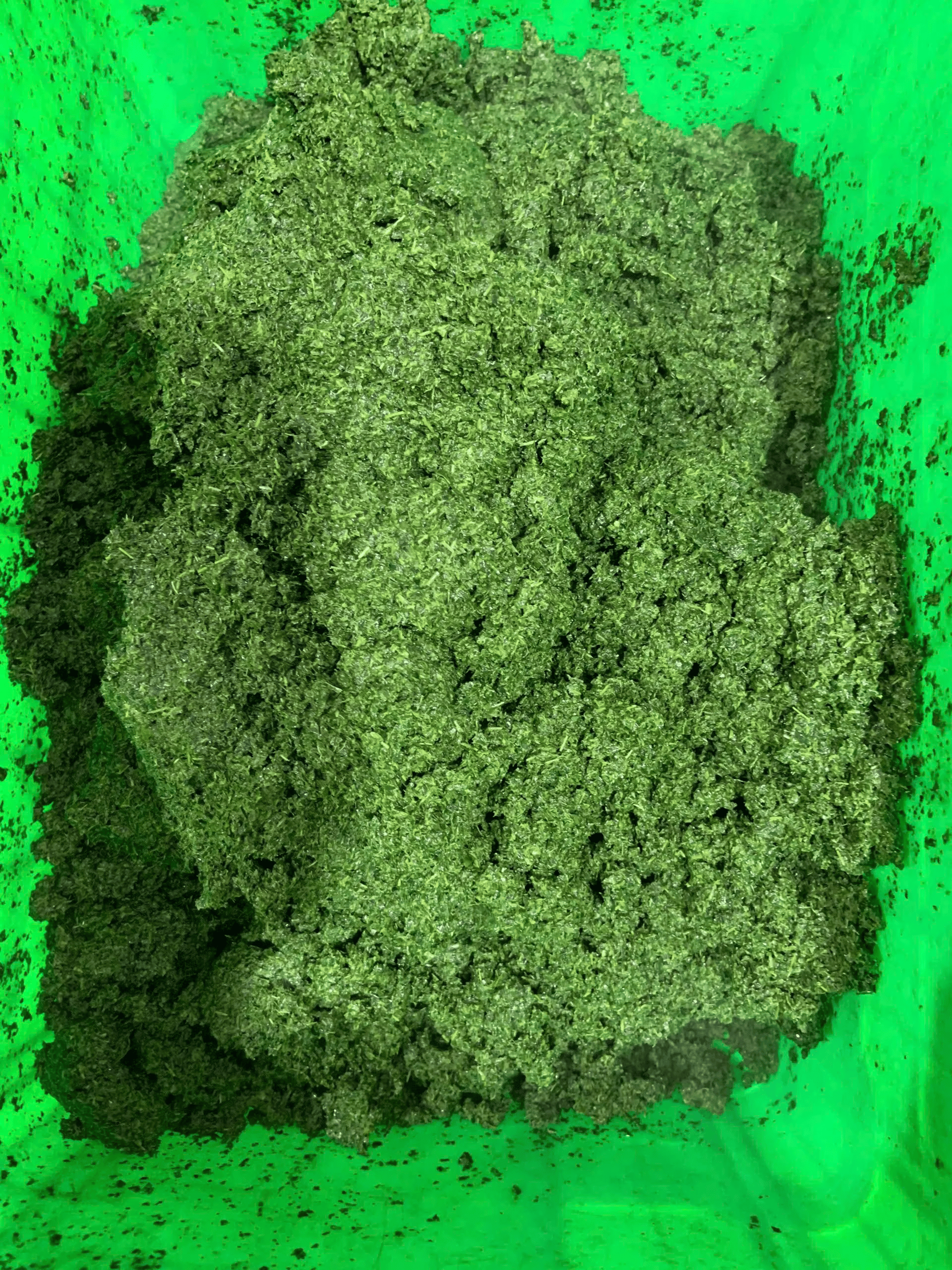 A0e5dc8fc87144a26ad4adb82d63b8b51X.png