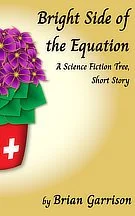 Bright Side of the Equation by Brian Garrison