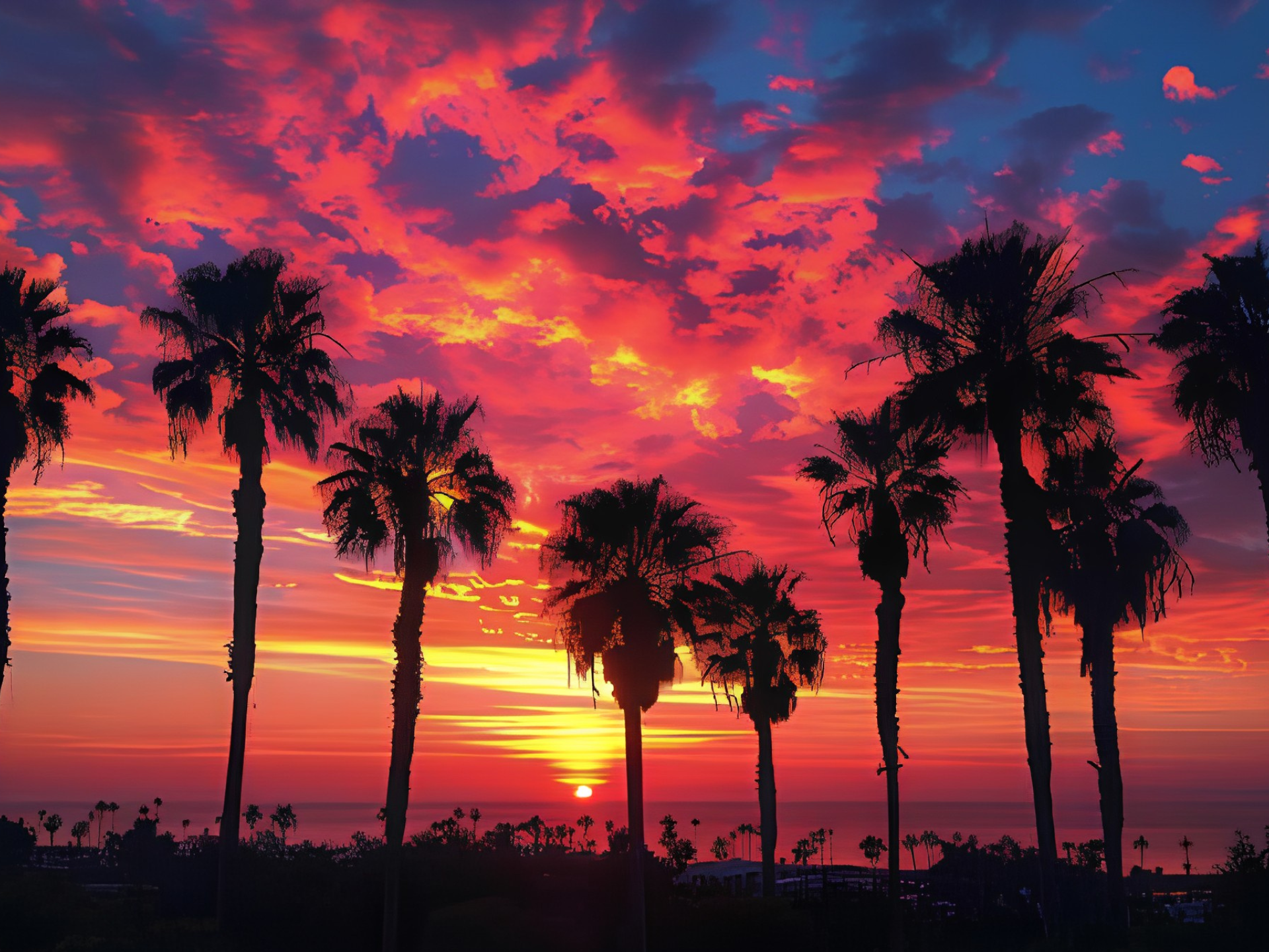 Silhouetted palm trees against a vibrant sunset with a colorful sky of orange, pink, and purple clouds over a body of water.