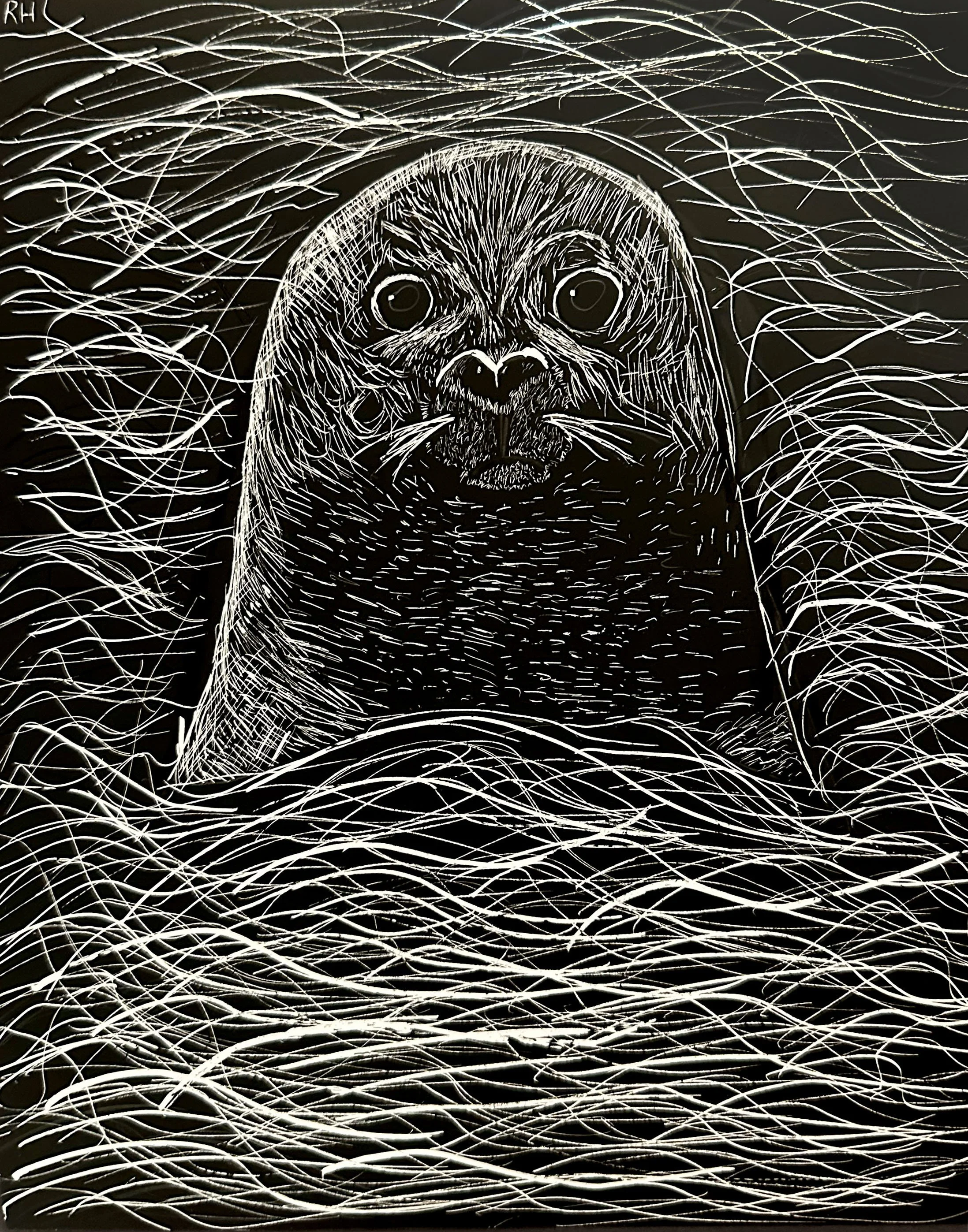 A student draws a Sea Lion in the water