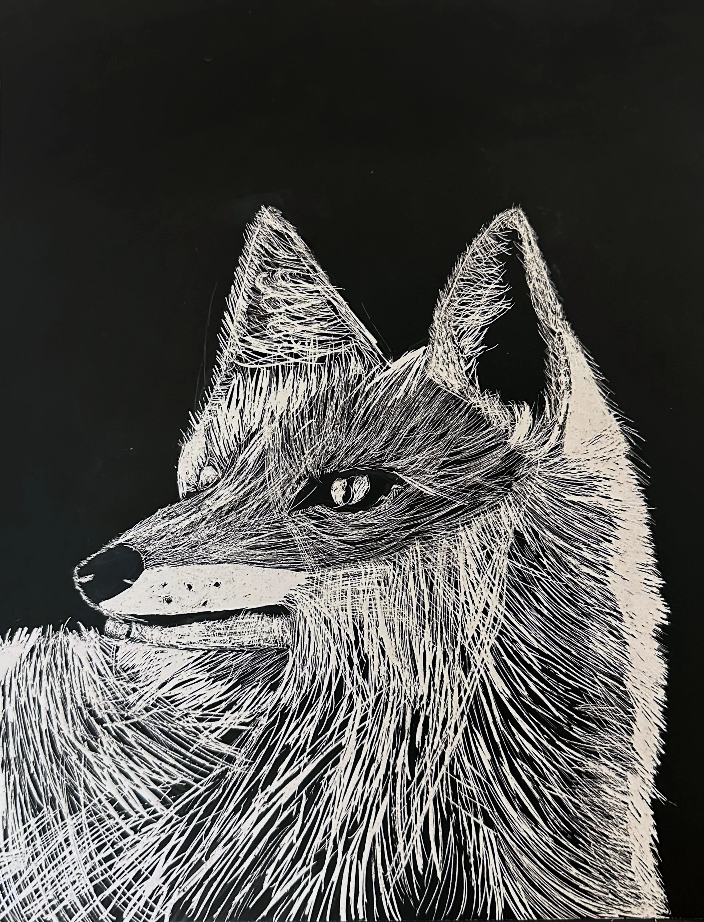 A students iteration of a Red Fox