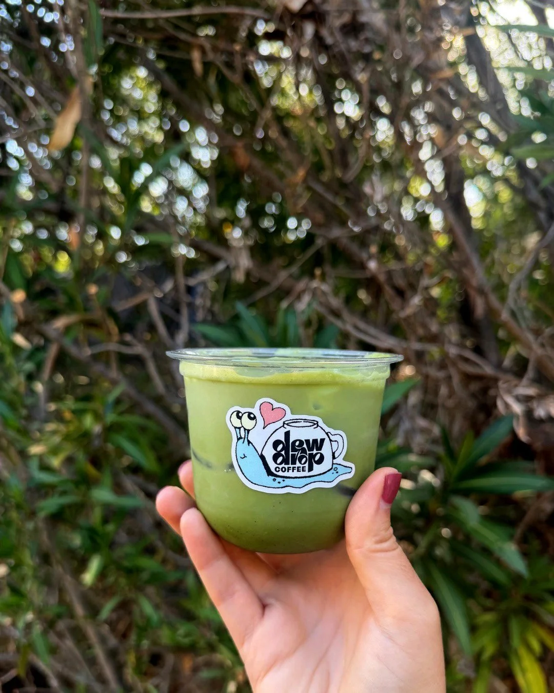matcha-1.jpg