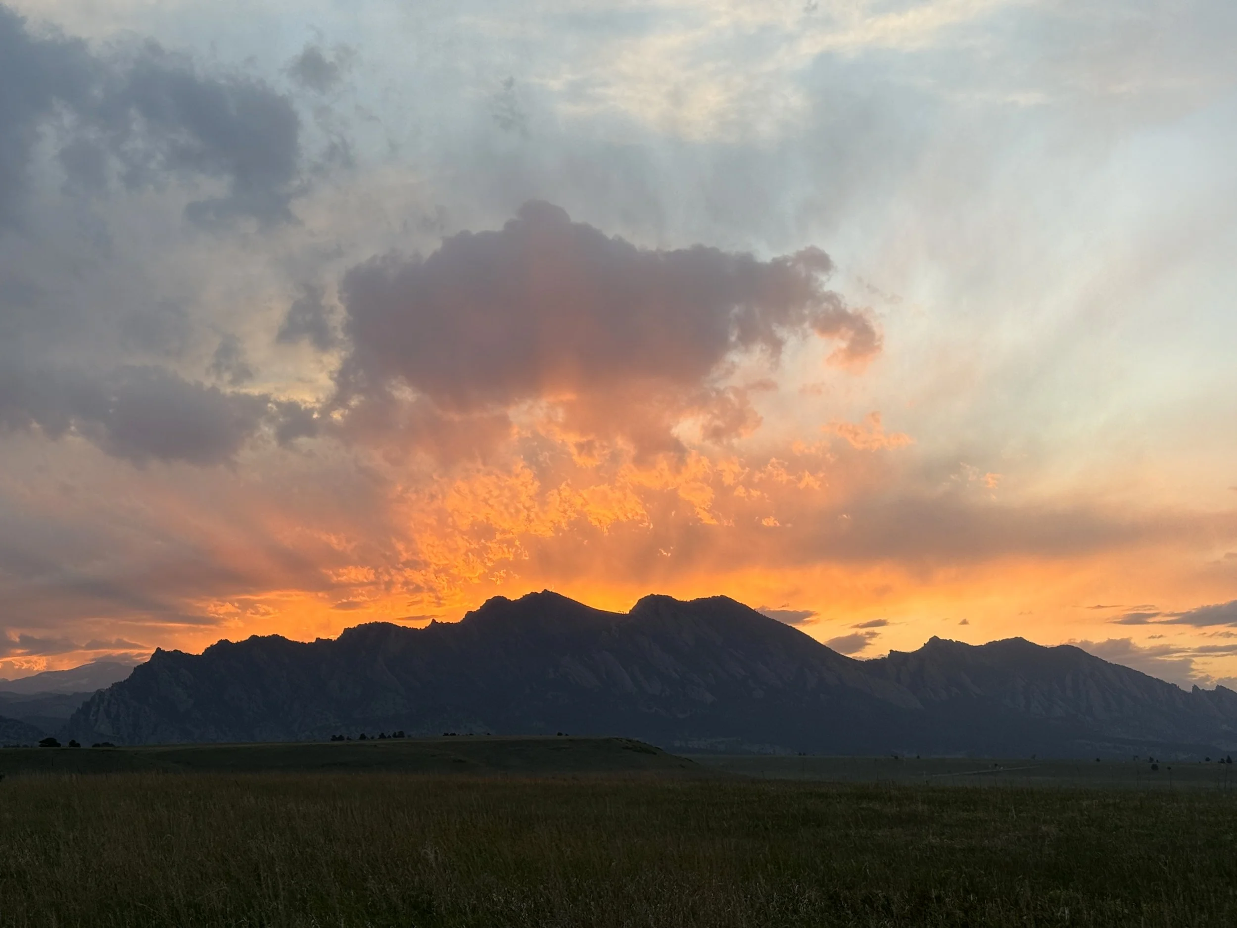 Mountain range with rocky peaks and forested slopes, green grass in the foreground, under a blue sky with some clouds near Westminster, CO