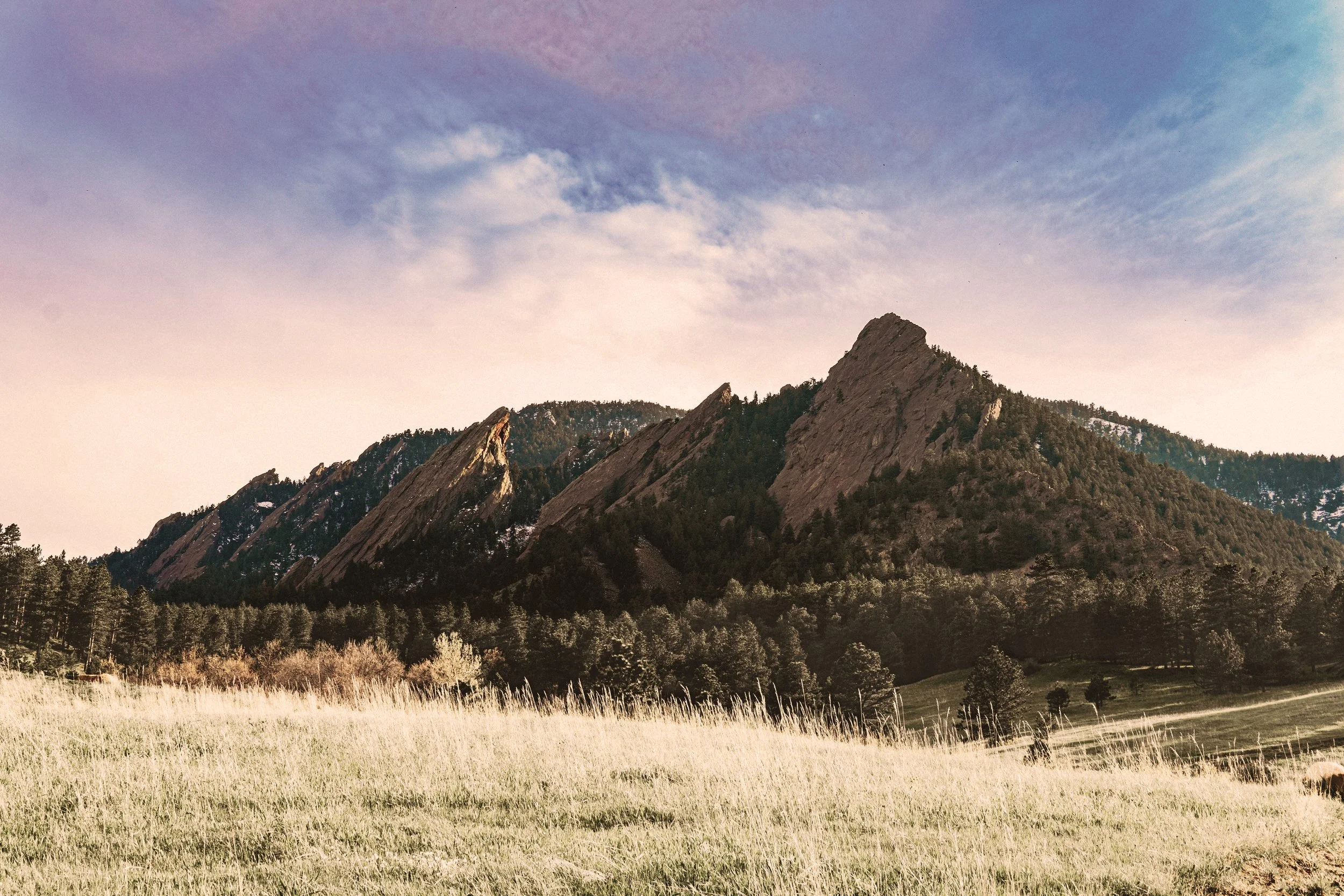 A view of the Flatiron Mountains with trees and grass in the foreground near Westminster, CO