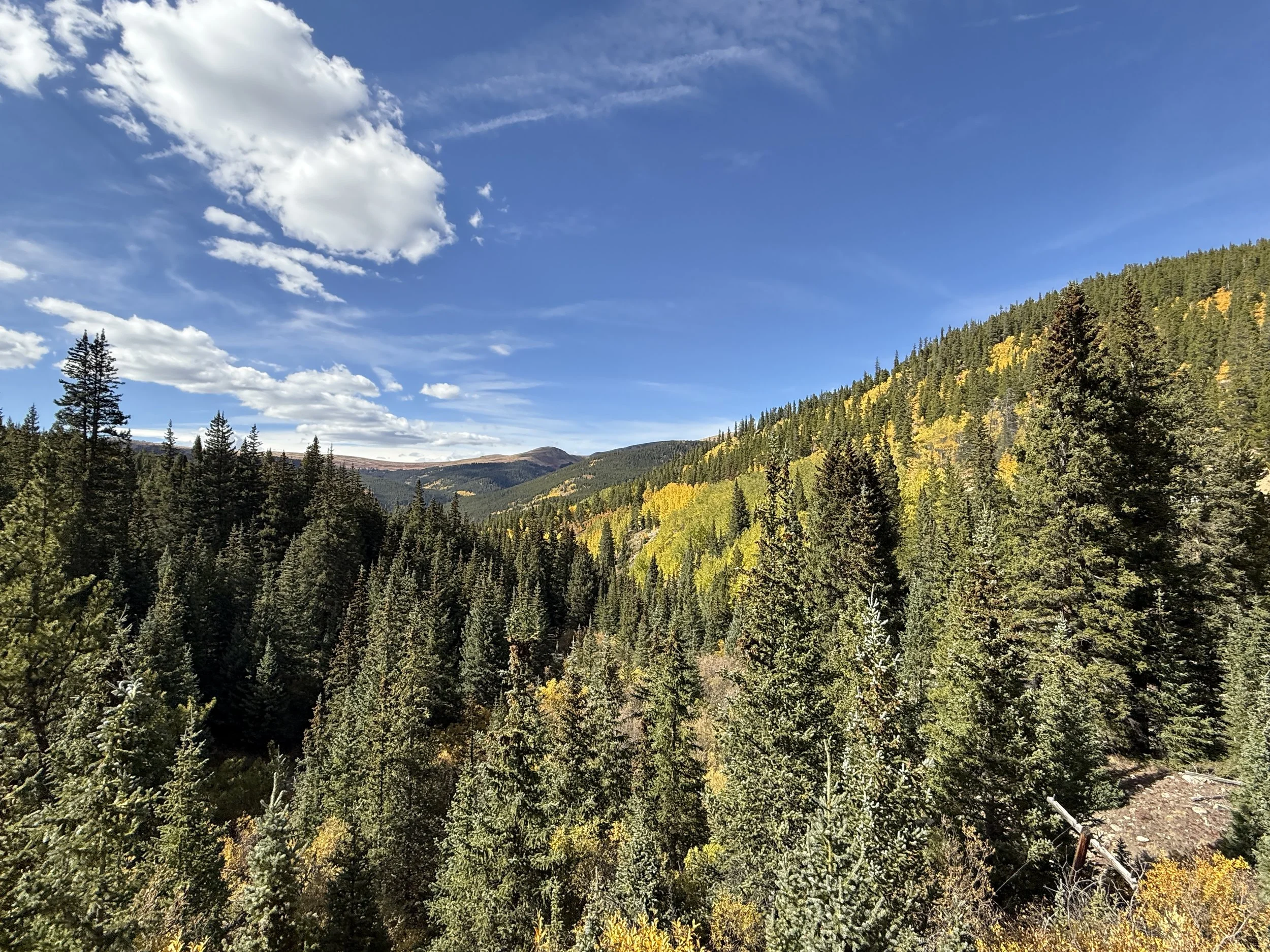 A scenic view of a mountain landscape with dense green pine forests, yellow autumn foliage, and a blue sky with some clouds.