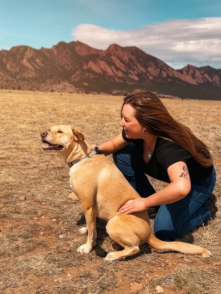 Dr. Emma, DC and IVCA certified animal chiropractor adjusts a dog with the Flatiron Mountains in the background near Westminster, CO