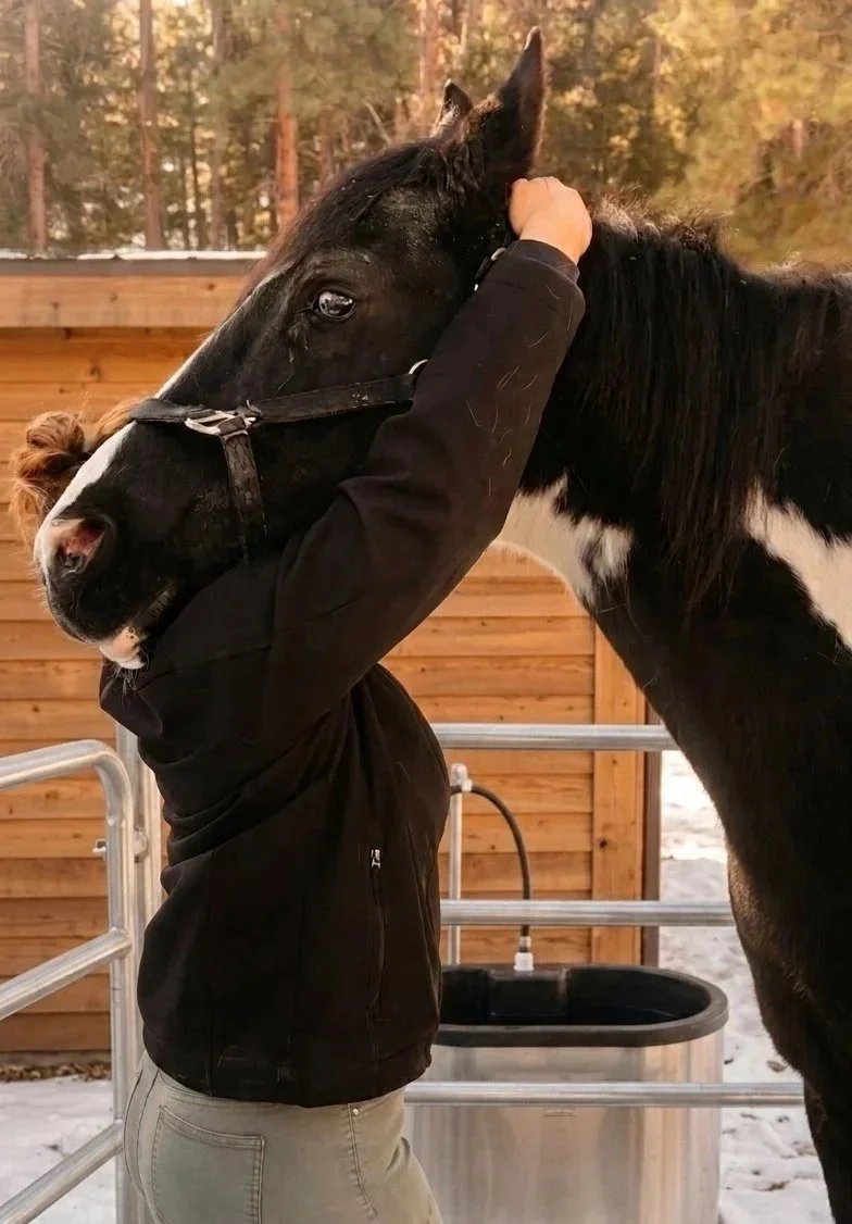 Dr. Emma adjusts a horse outside in winter near Denver, CO