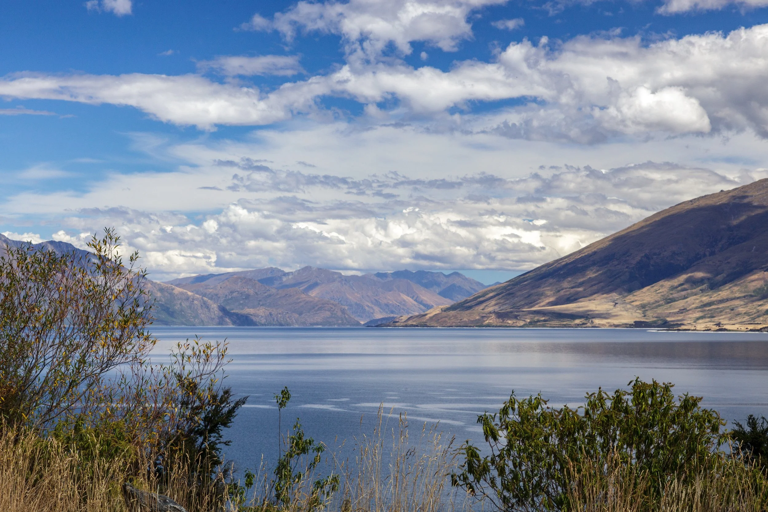 Scenic view of a large body of water with mountains in the background, partly cloudy sky, and trees and bushes in the foreground.