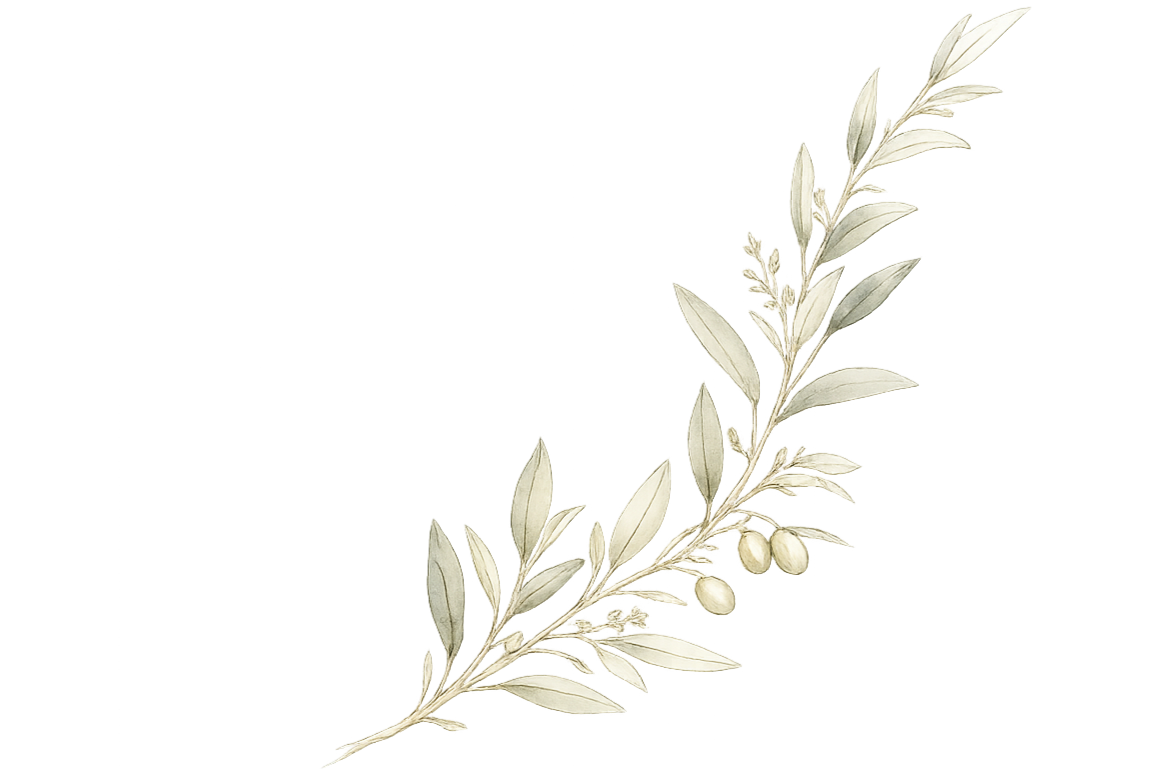 Decorative olive branch graphic.