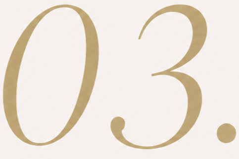 Number 03. Revenue Recovery Review Services.