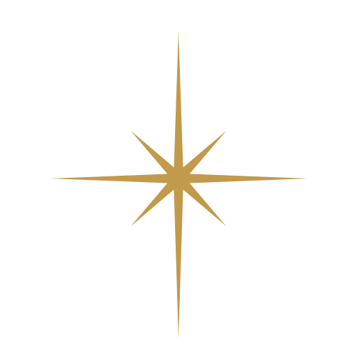 A gold star-shaped compass rose with eight points on a black background.