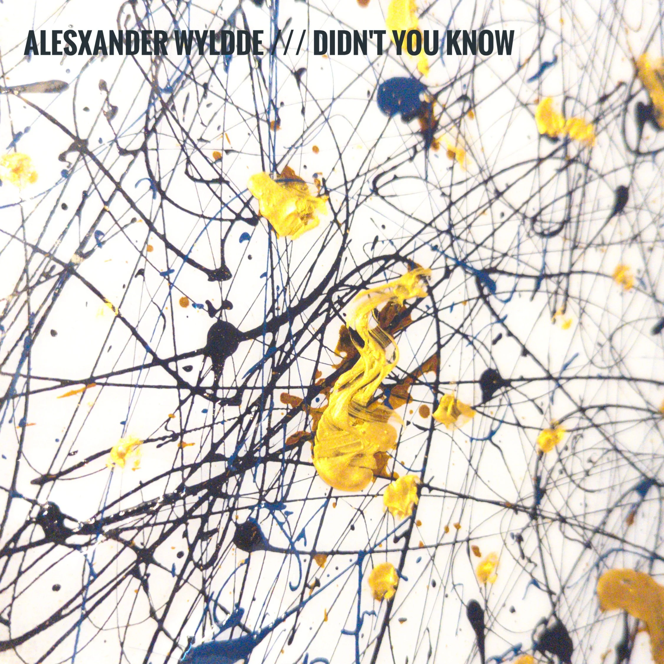 Didn't You Know? (Single)