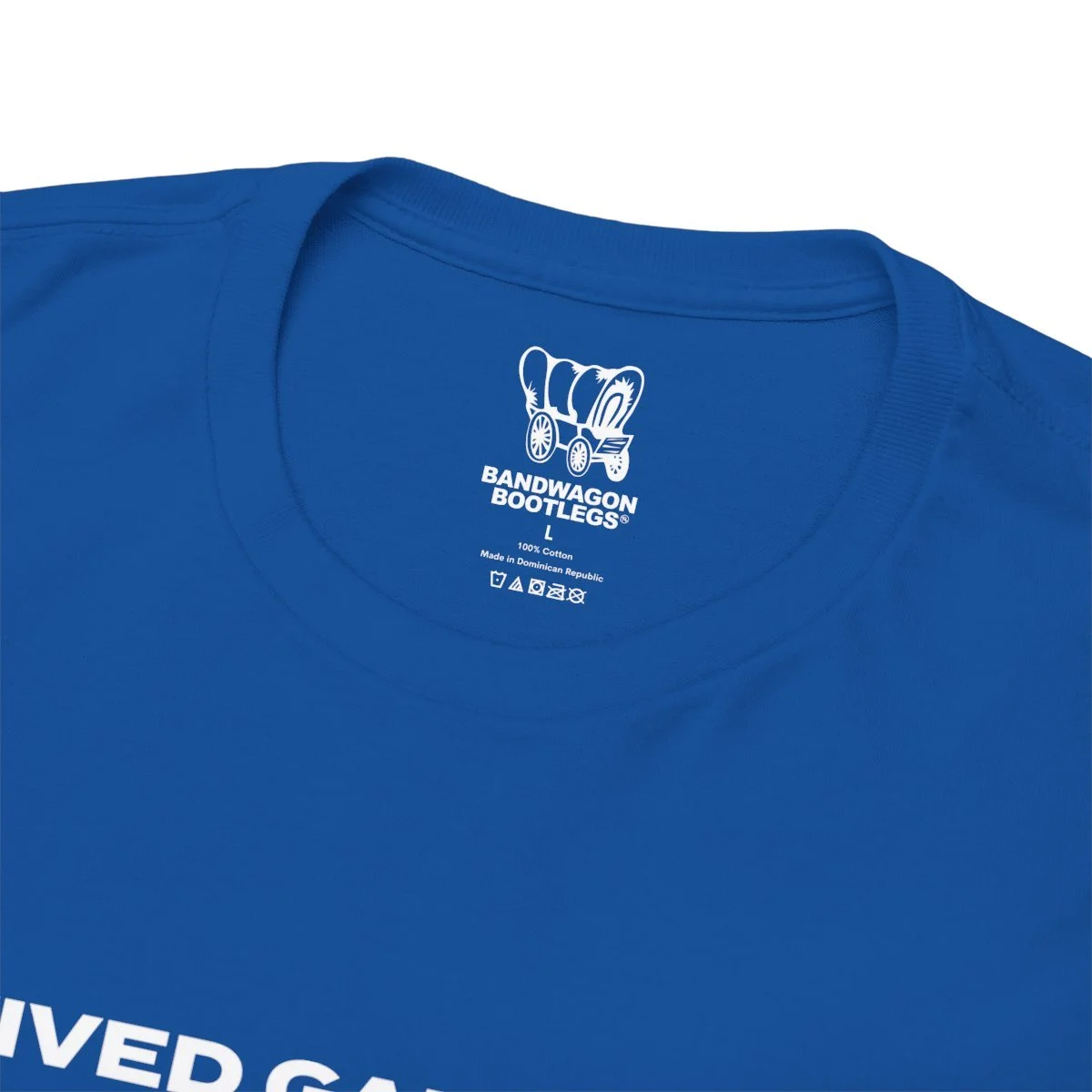 i-survived-blue-2.jpg