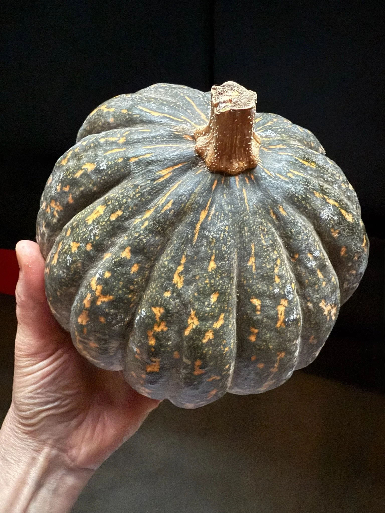 LovelysFiftyFifty_Produce_22.JPG