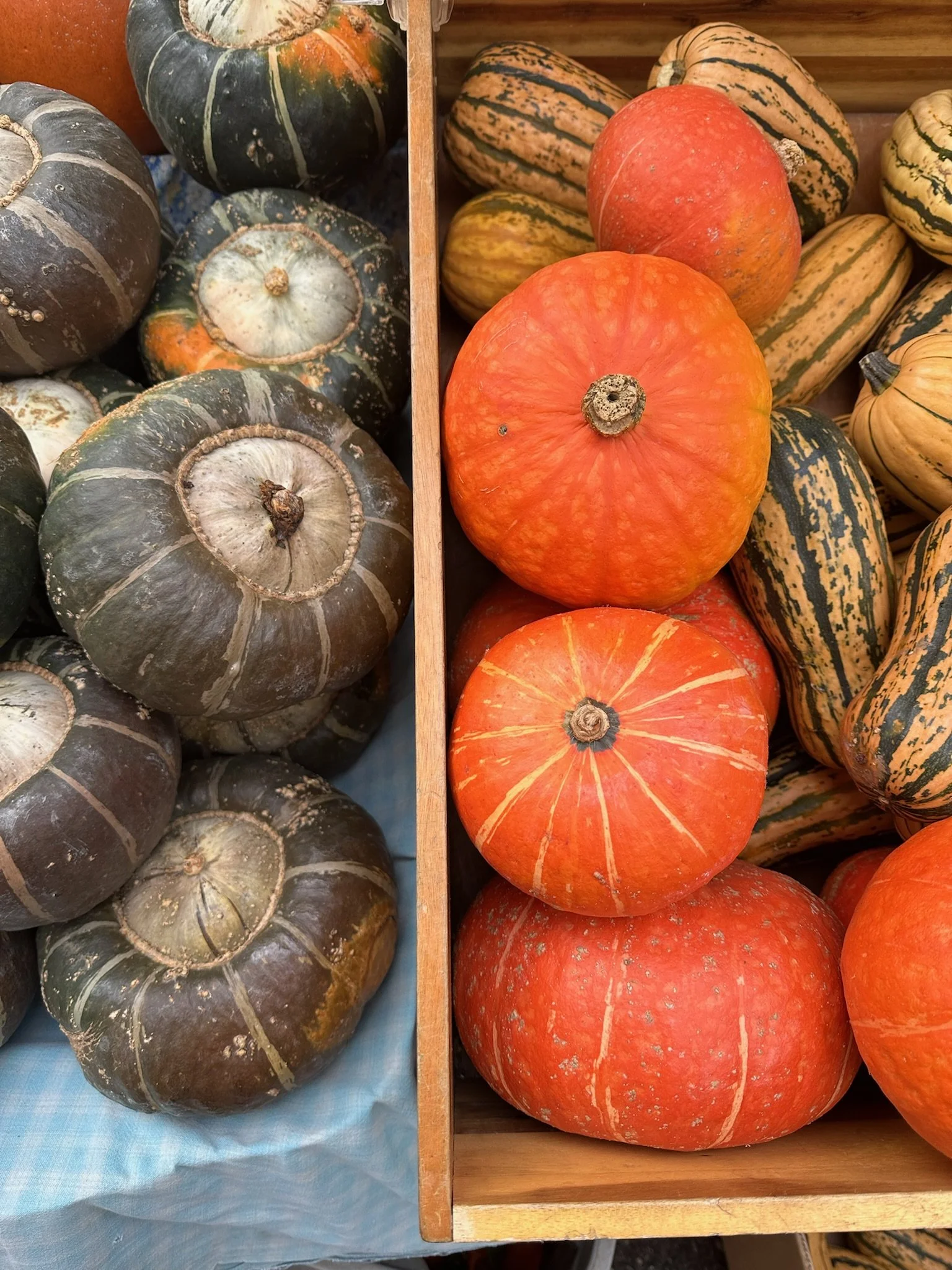 LovelysFiftyFifty_Produce_8.JPG