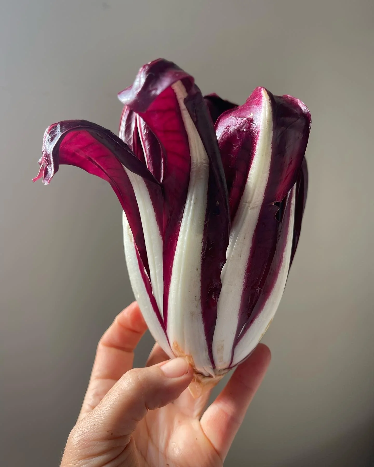 LovelysFiftyFifty_Produce_3.JPG