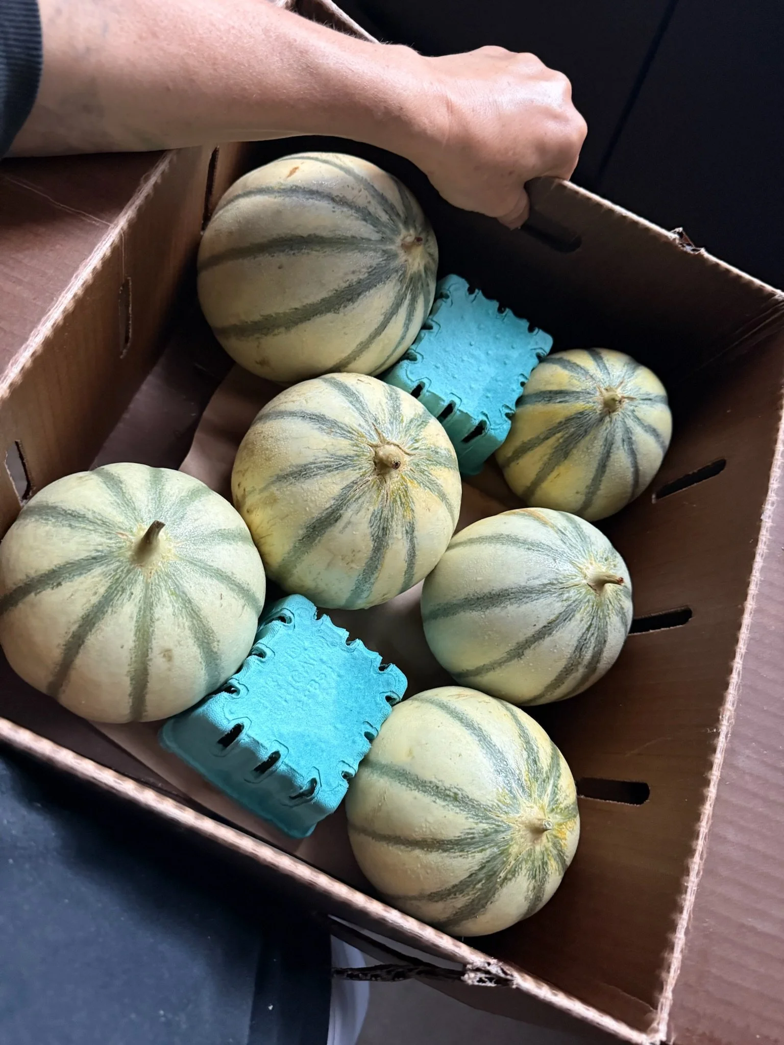 LovelysFiftyFifty_Produce_18.JPG