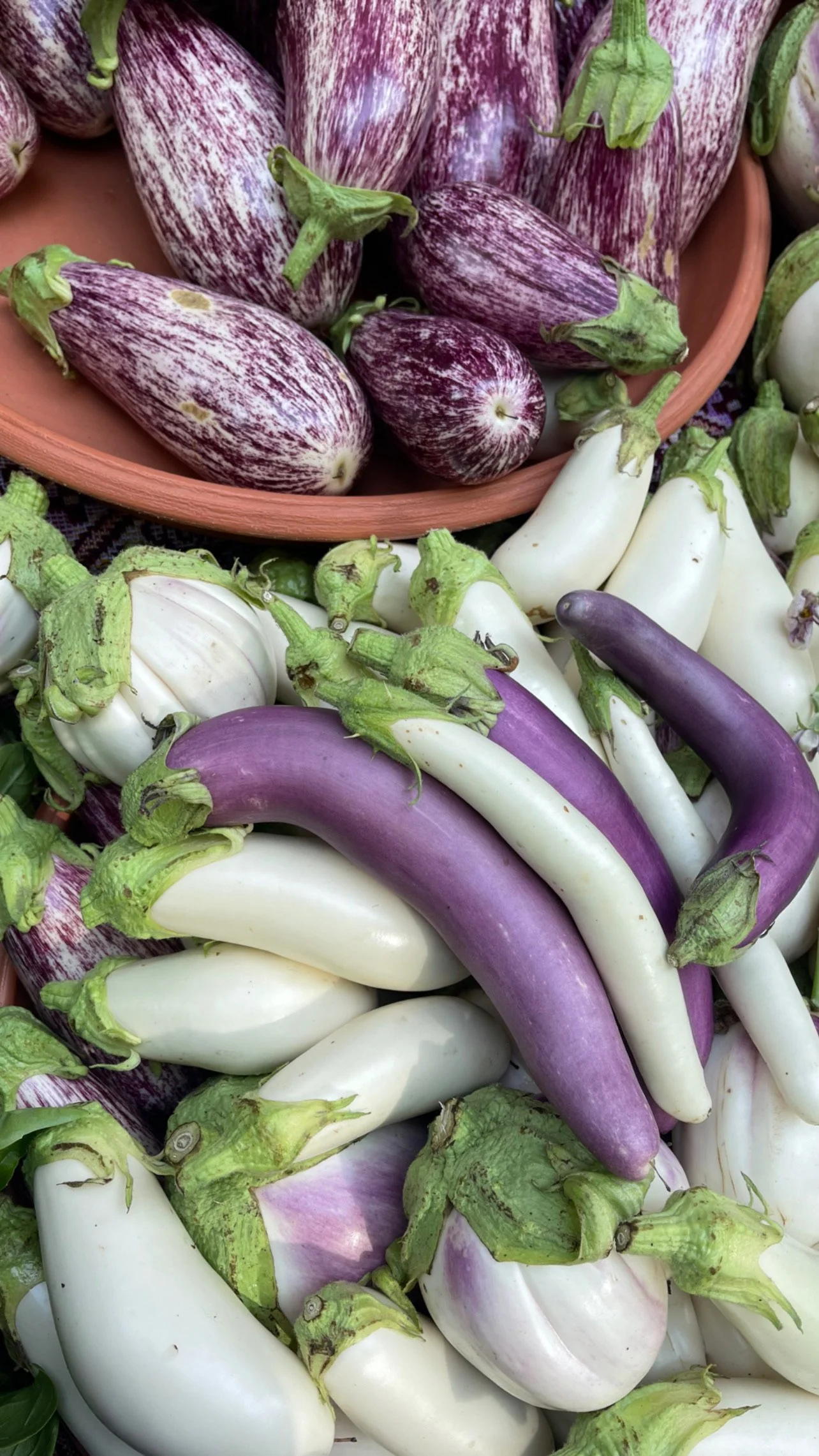 LovelysFiftyFifty_Produce_6.JPG