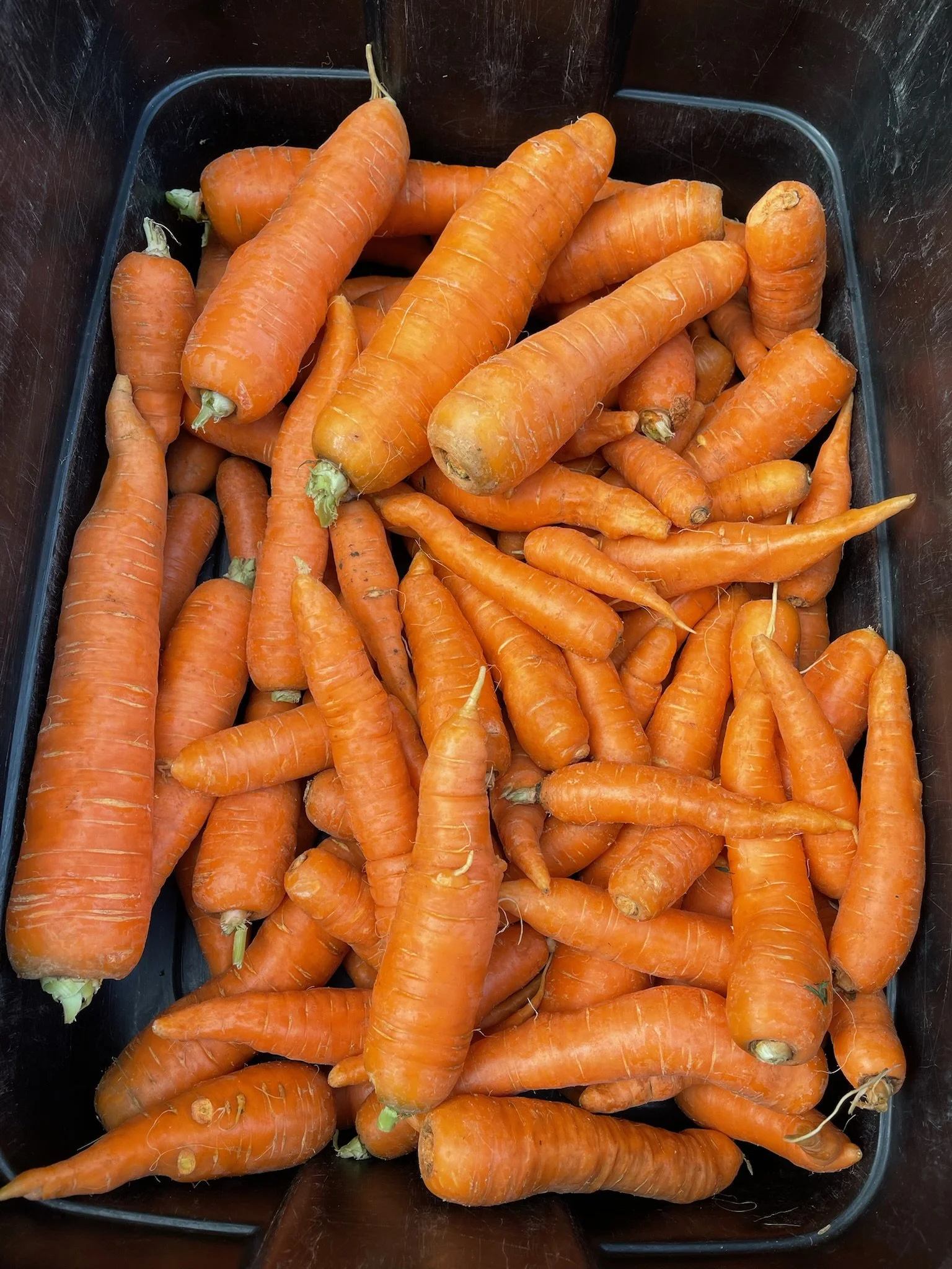 LovelysFiftyFifty_Produce_16.JPG
