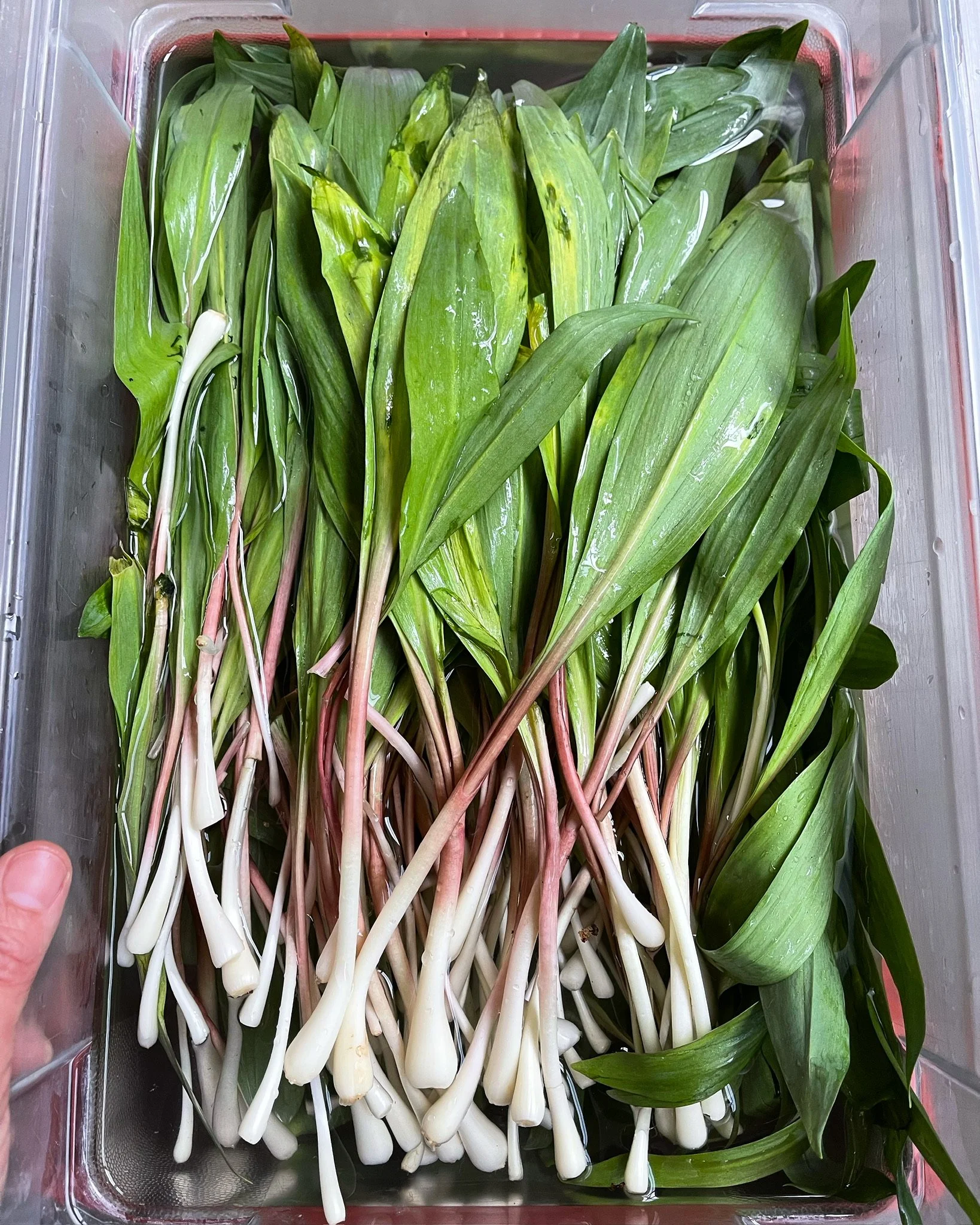 LovelysFiftyFifty_Produce_1.JPG