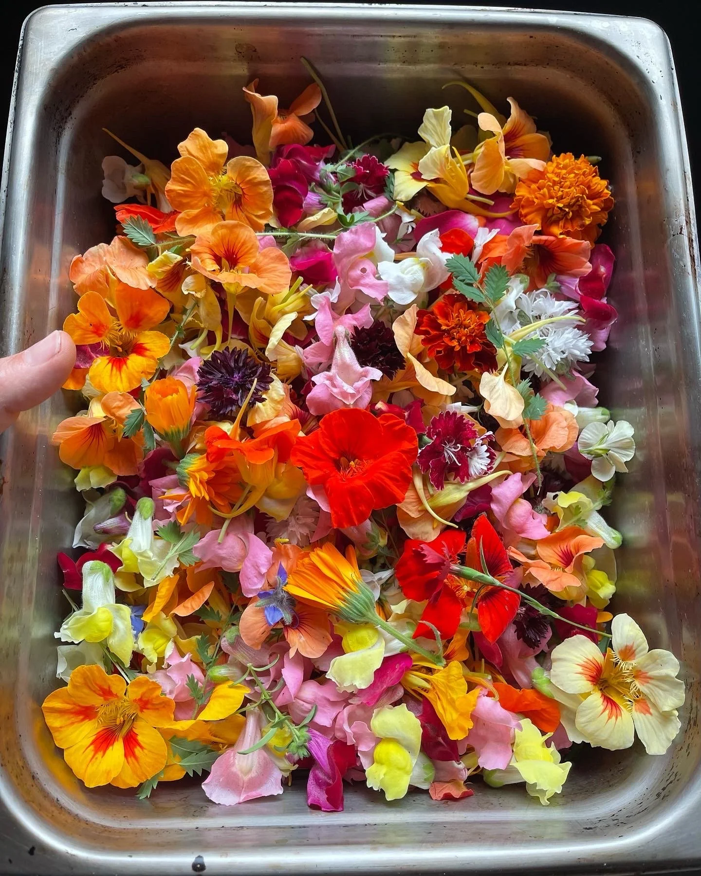 LovelysFiftyFifty_Produce_2.JPG