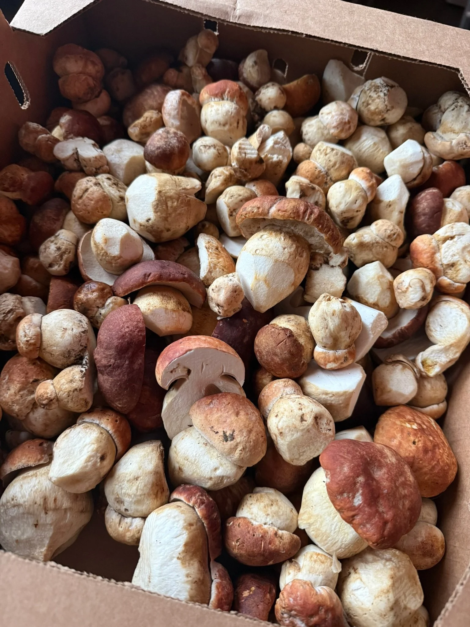 LovelysFiftyFifty_Produce_26.JPG