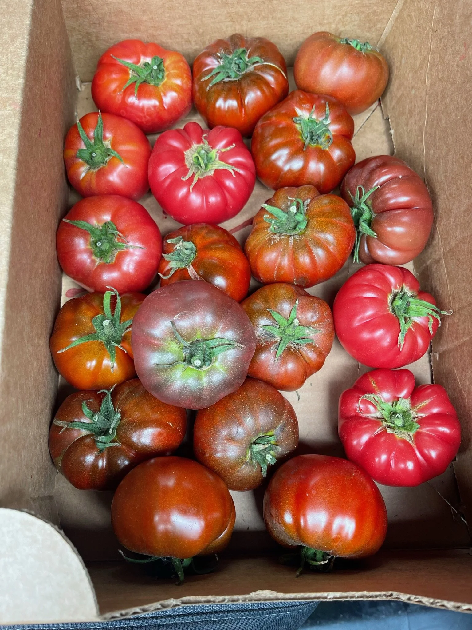 LovelysFiftyFifty_Produce_13.JPG