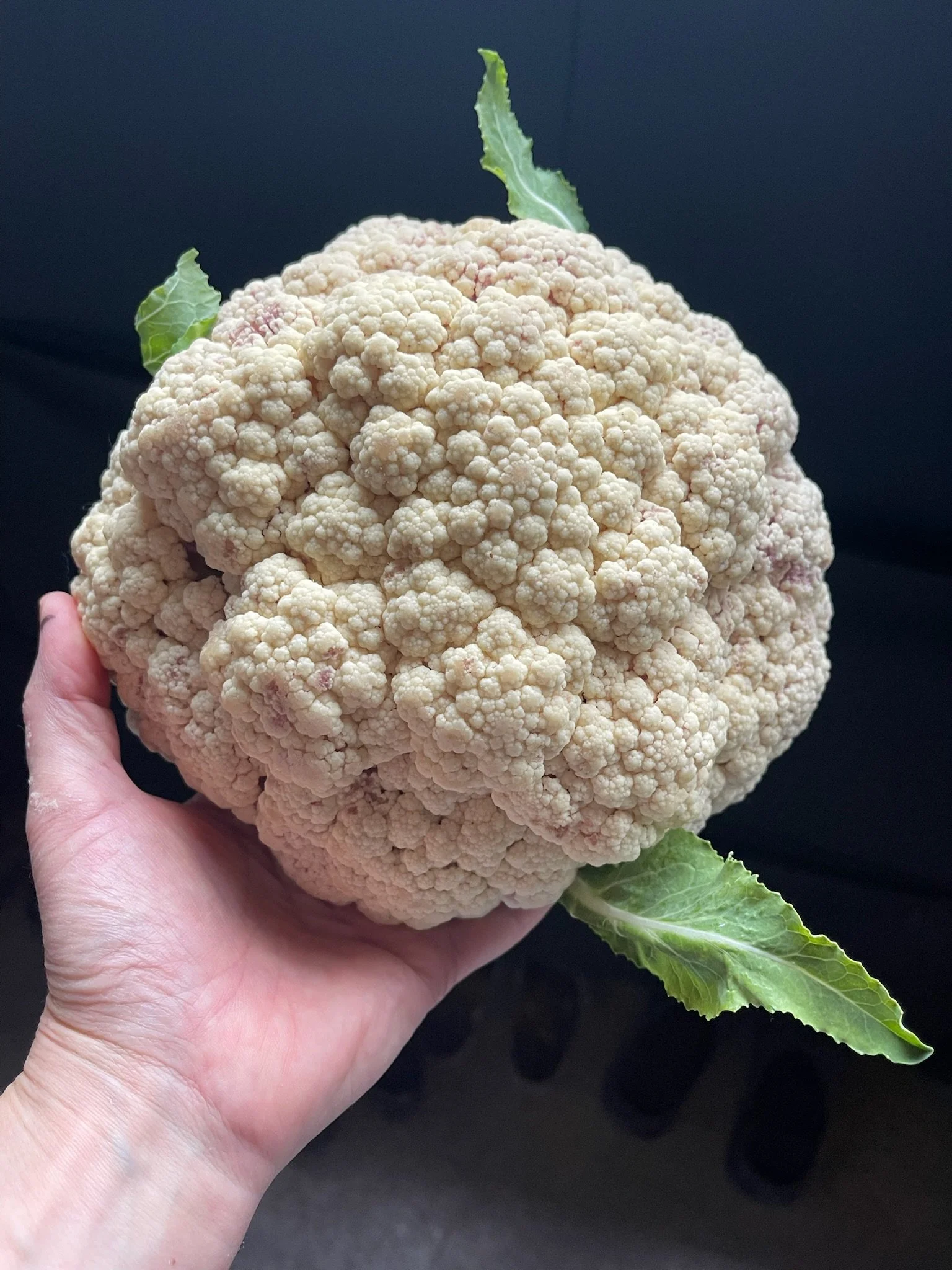 LovelysFiftyFifty_Produce_21.JPG