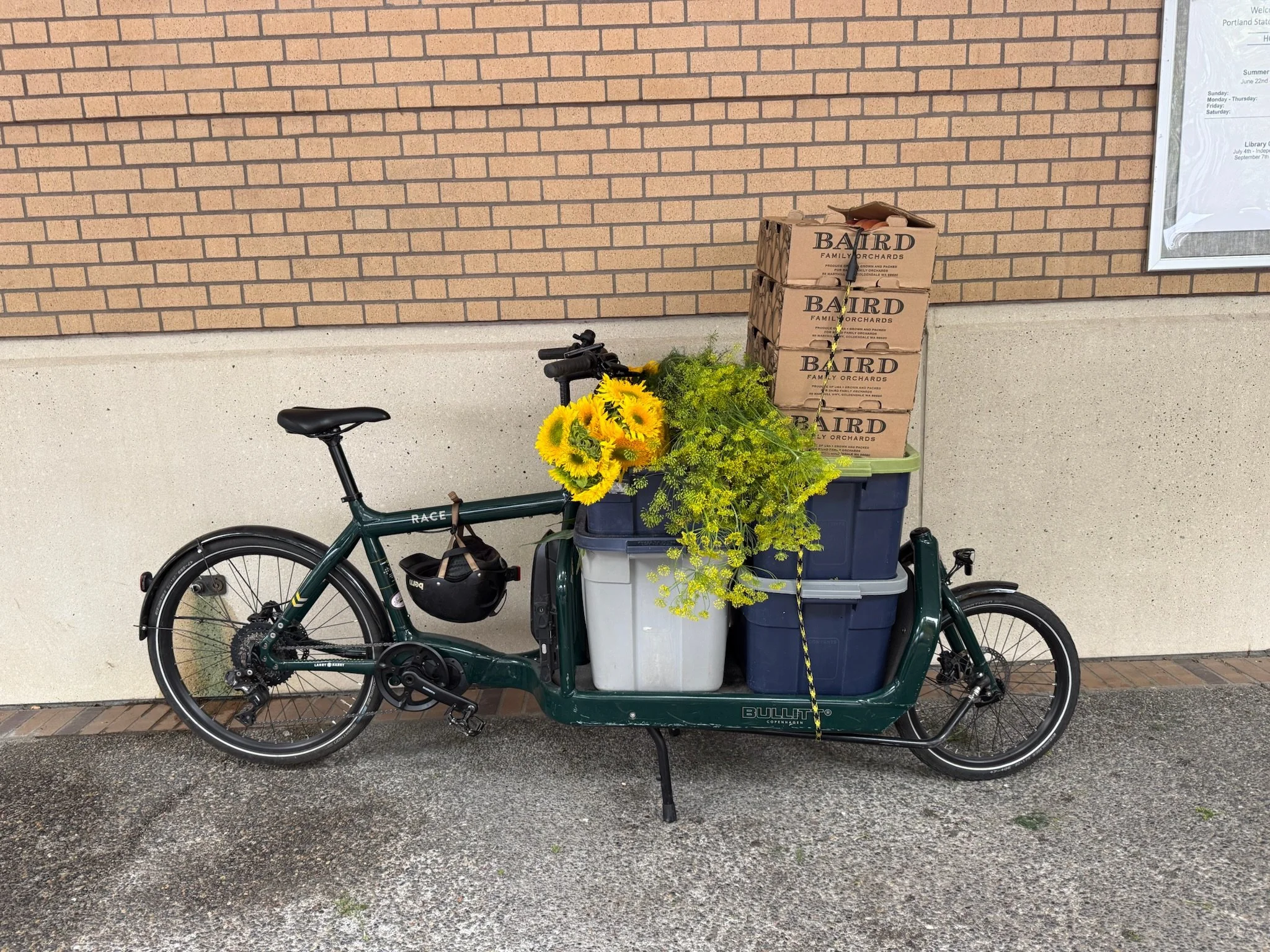 LovelysFiftyFifty_MarketBike.JPG