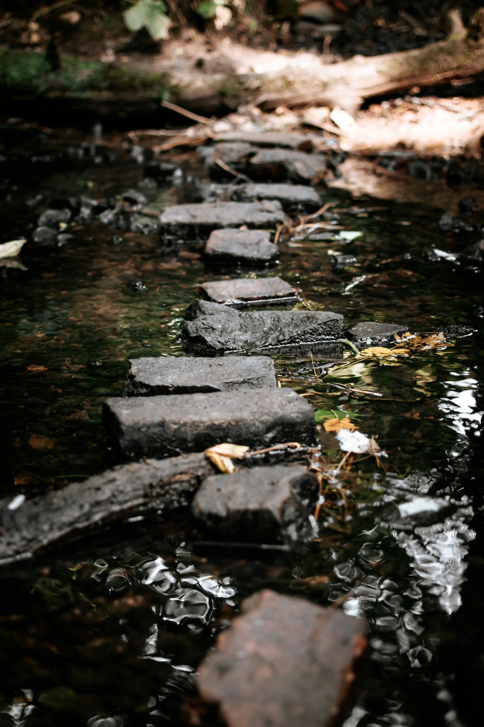 "Stepping stones across a peaceful creek symbolizing progress and recovery."
