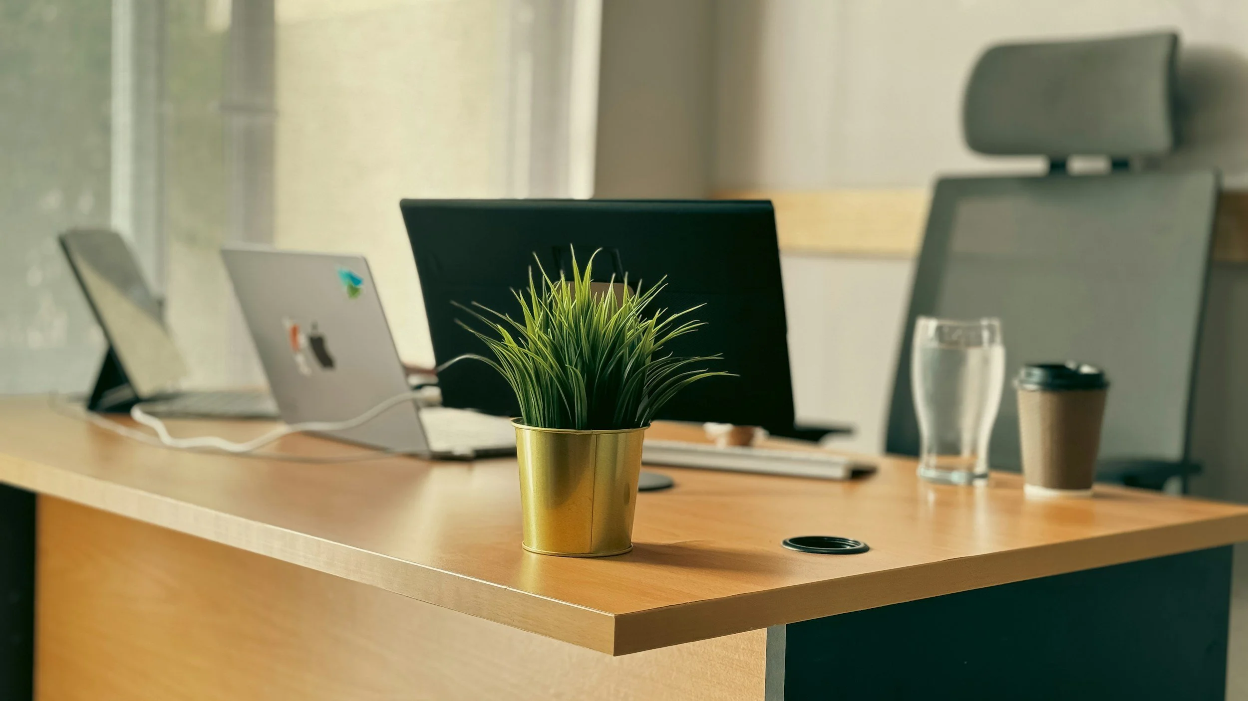 An office desk with a small potted plant in a gold container, a laptop, a glass of water, a disposable coffee cup, and two monitors, with a large window in the background.