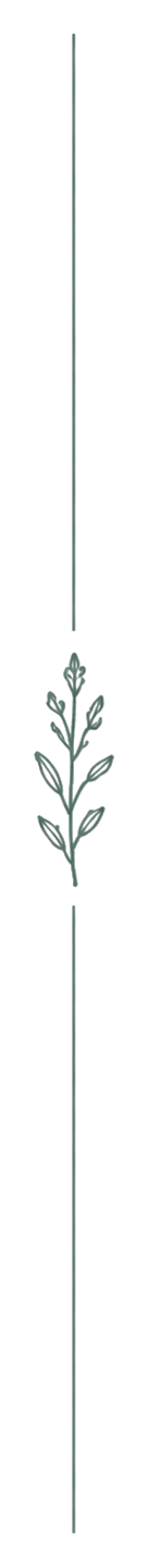 A vertical decorative design featuring a stylized plant or branch with leaves, centered along a narrow vertical line.
