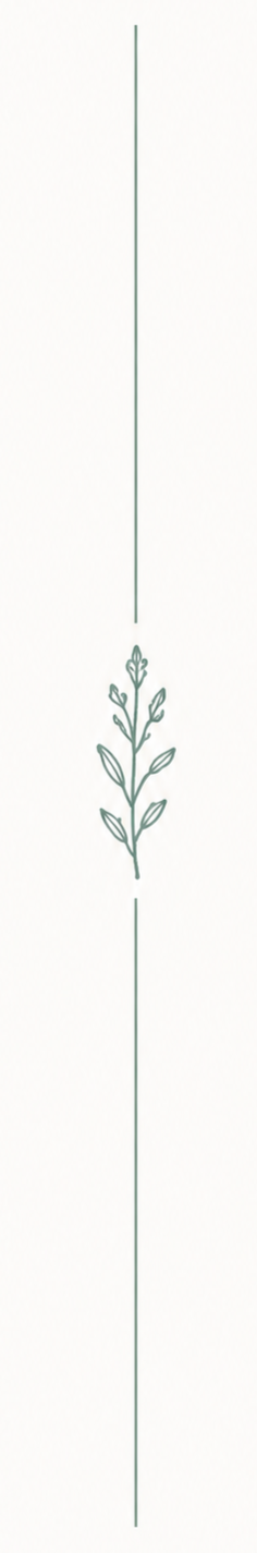 A thin decorative border with a leaf motif in the center.