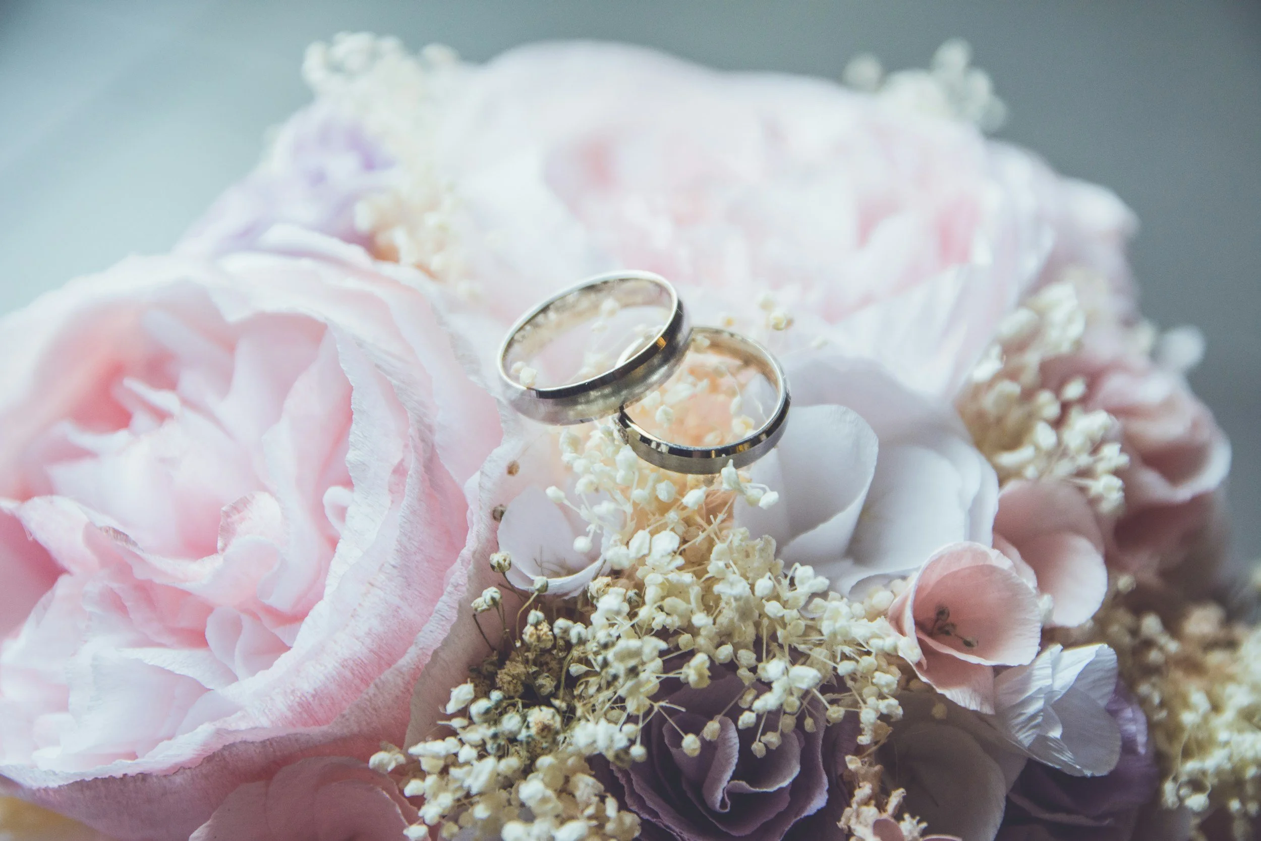 Two wedding rings resting on a pink peony flower with white baby's breath flowers surrounding it.