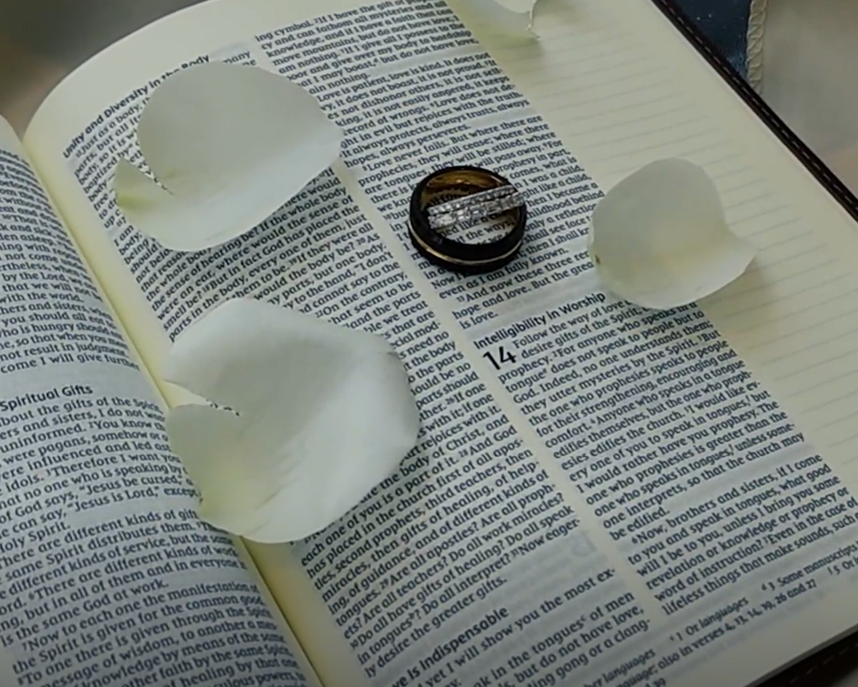 Open book with pages of text, some pages have heart-shaped cutouts, with a ring placed on top of the open pages.