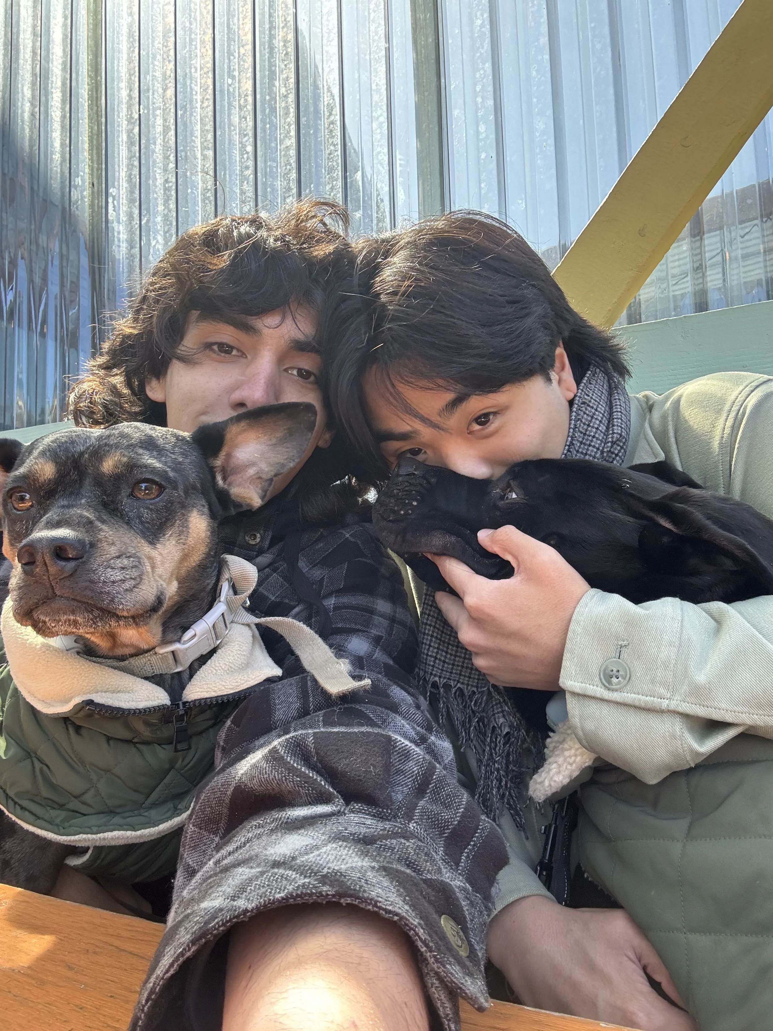 Two young men with dark hair and light to medium skin tones are taking a selfie with two dogs outdoors. One dog is a large black and tan mixed breed, and the other is a small black dog. They are sitting at a wooden table with a background featuring a striped metal wall and a yellow diagonal beam.