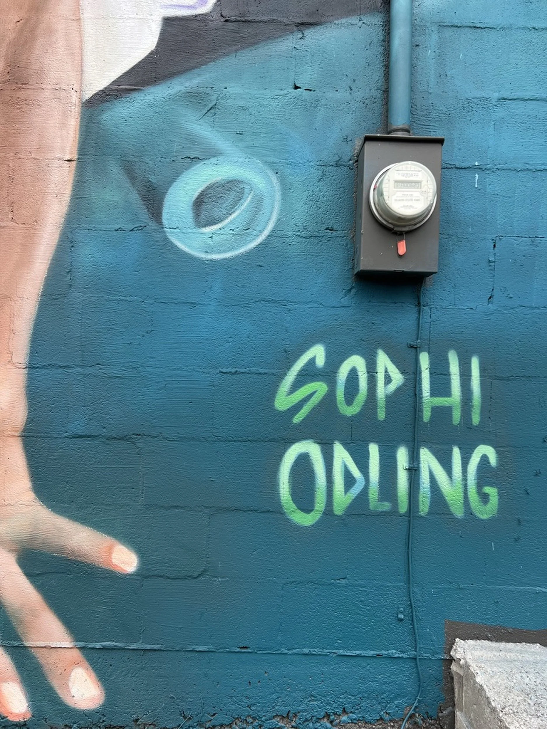 Sophi Odling Tullahoma Tennessee USE270A9CB-4C36-4F7D-BD6E-0125BA0D05F4_1_105_c_result.jpg