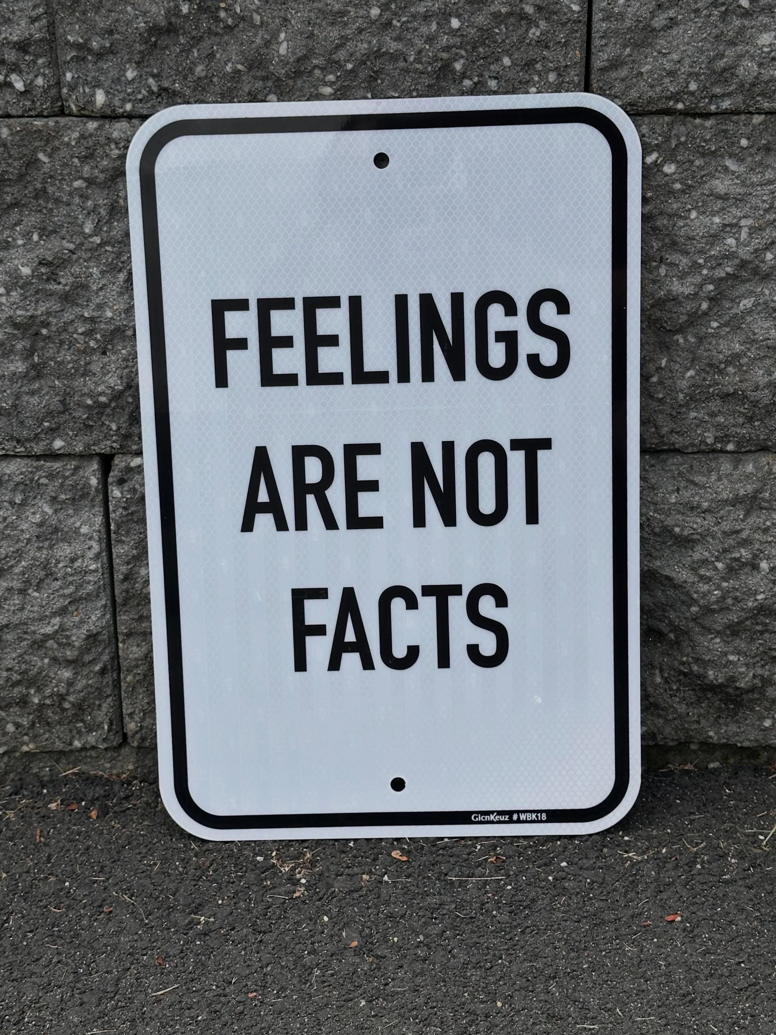 We also do some custom sign work. This one is reflective so you can see it at night time. Also, a sneak peak of 1/4 of the collection. #roadsign #smallbusiness #feelingsarenotfacts #customsigns #homedecor