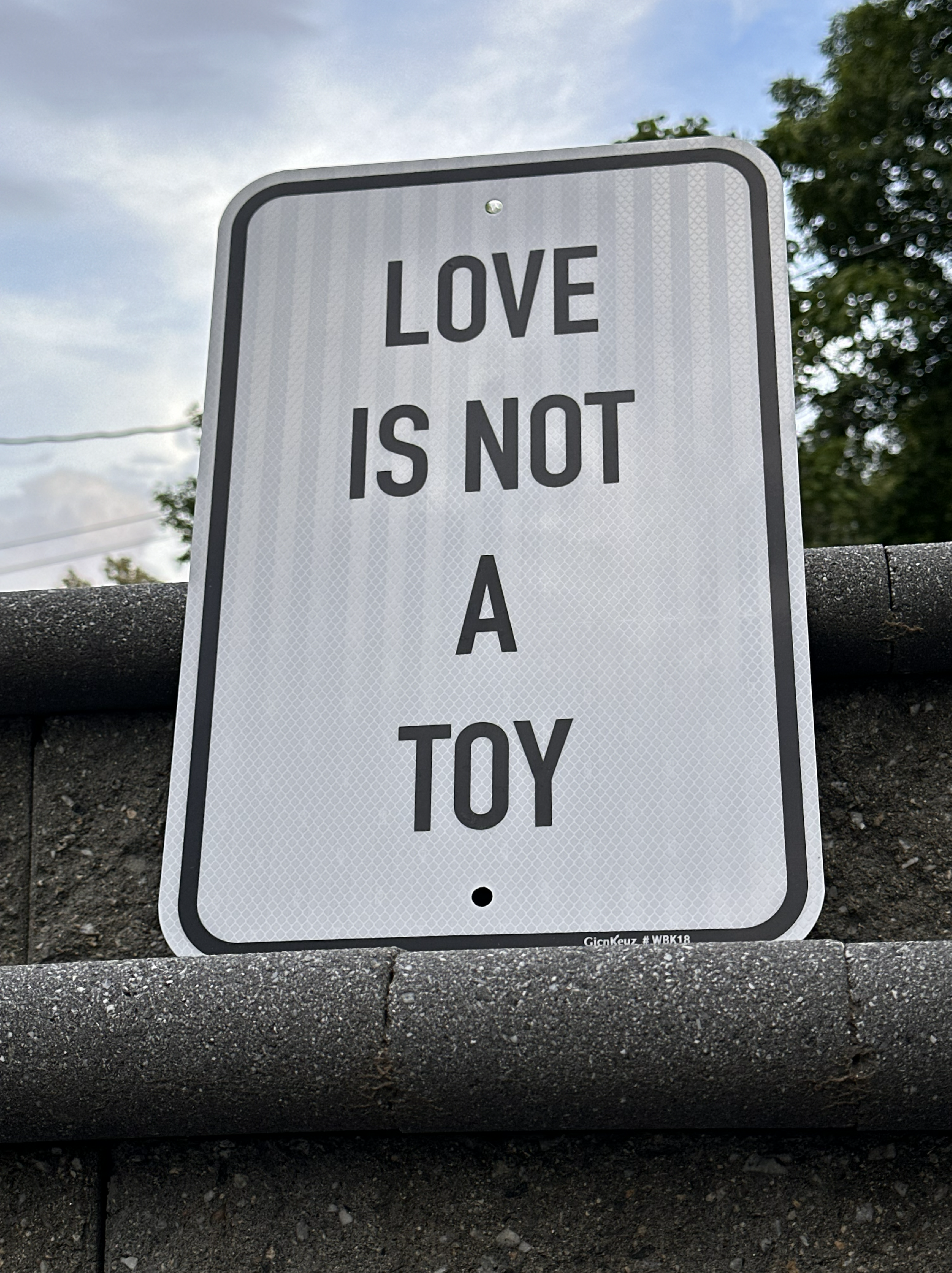 Love Is Not a Toy | 10" x 16" Reflective Street Sign