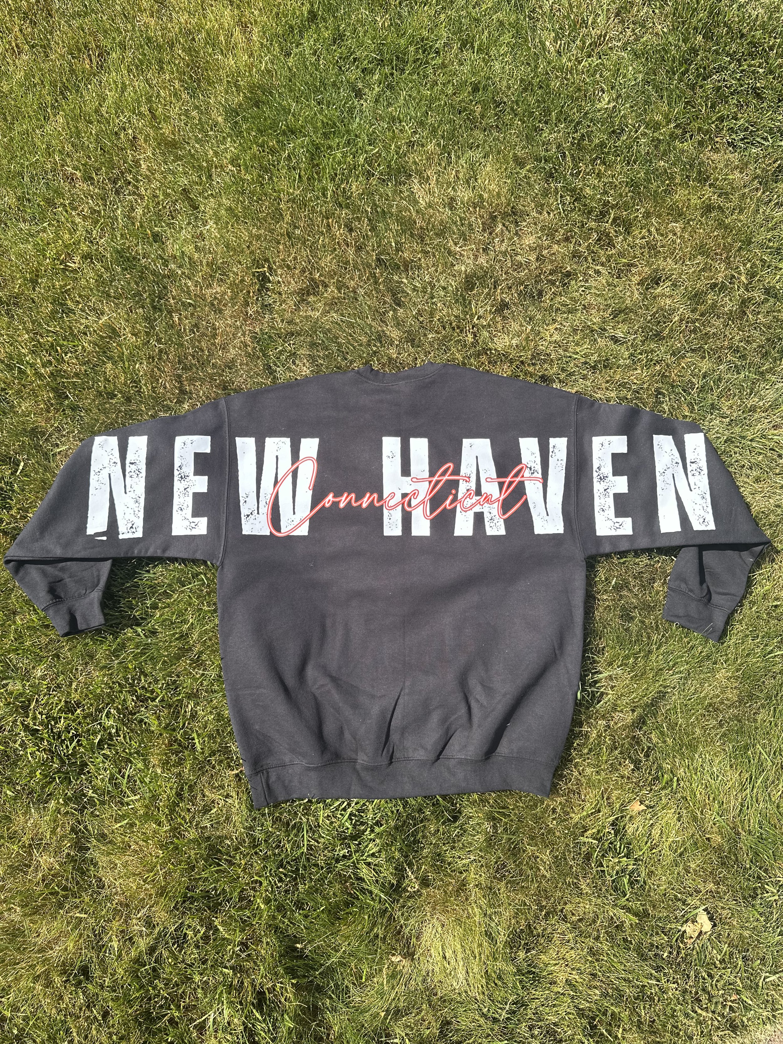Connecticut City crewneck sweatshirt VICE edition back view