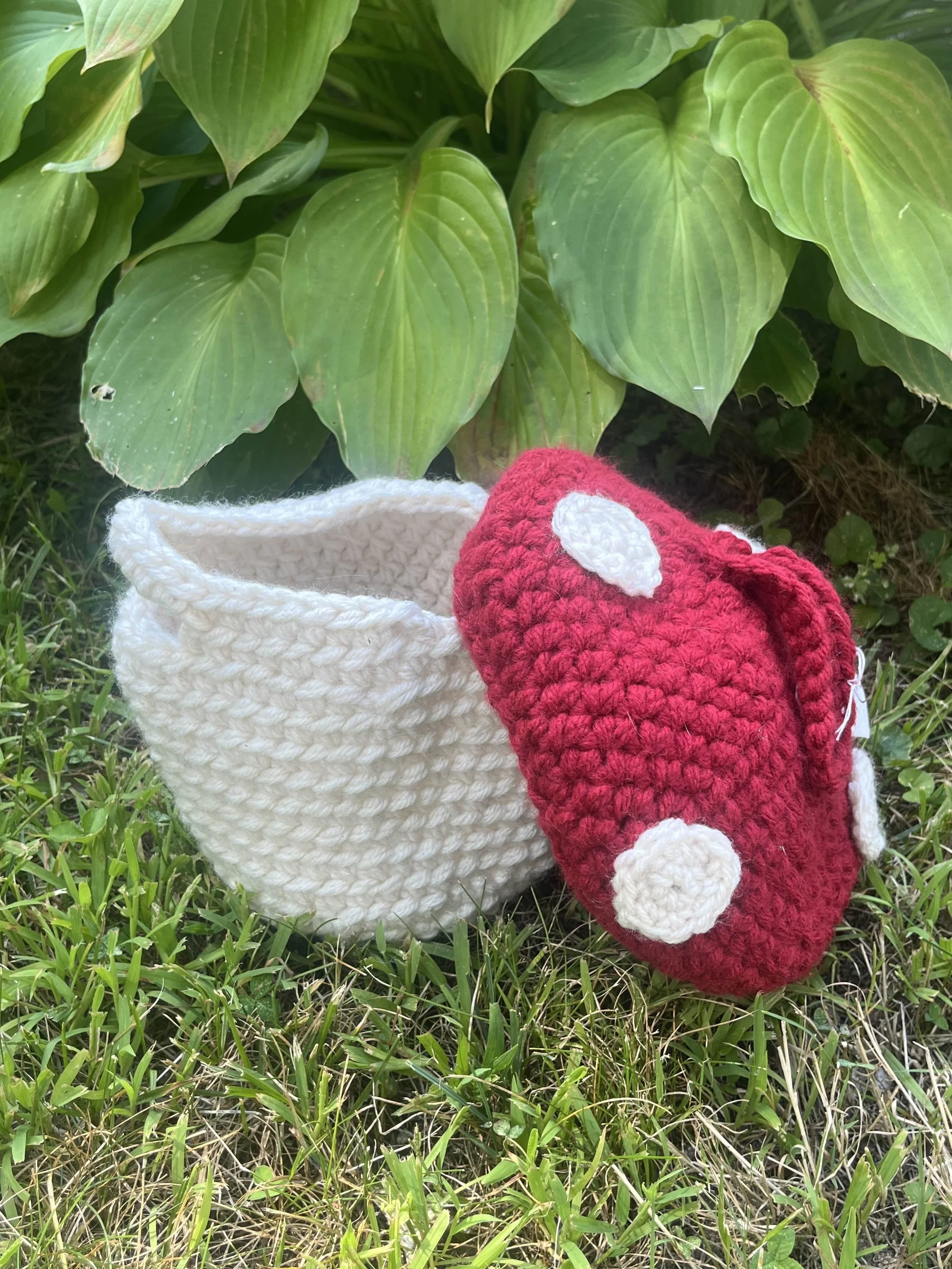 Mushroom Basket