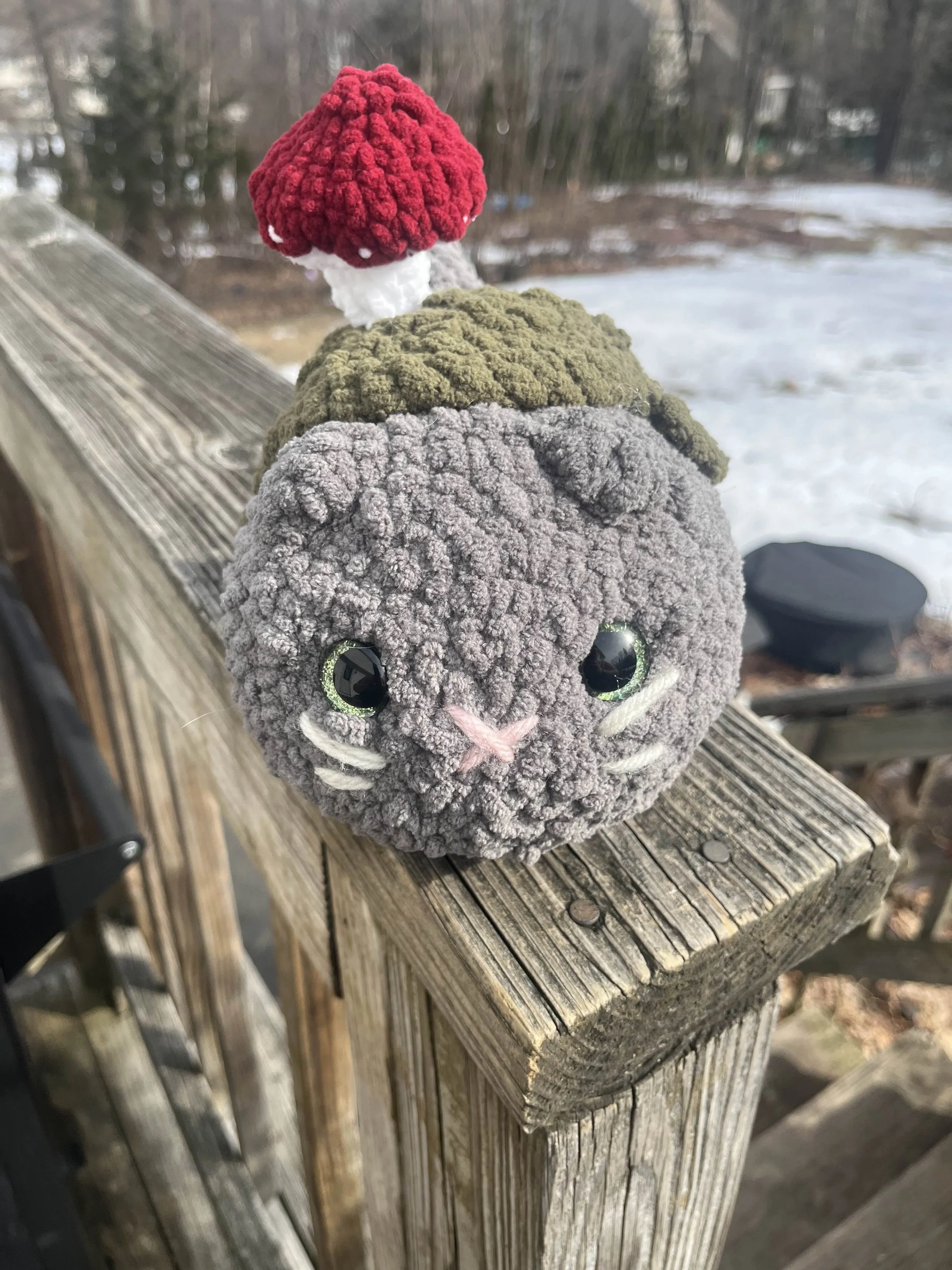 Mushroom Cat Familiar